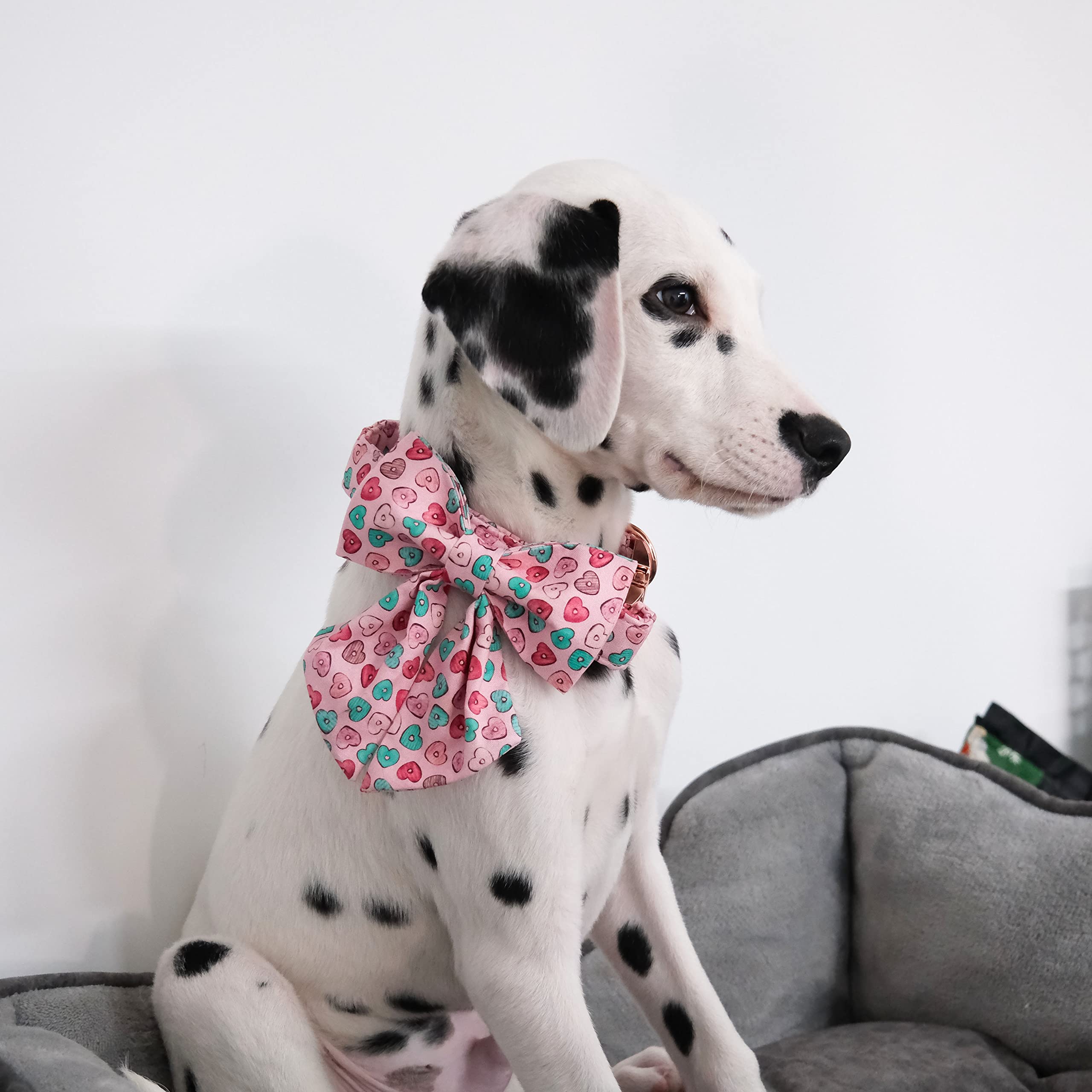 Maca Bates Valentines Sweet Heart Dog Collar with Bow Bowtie for Dogs Sailor Bow Tie Adjustable Breakaway Pink Collars Accessori