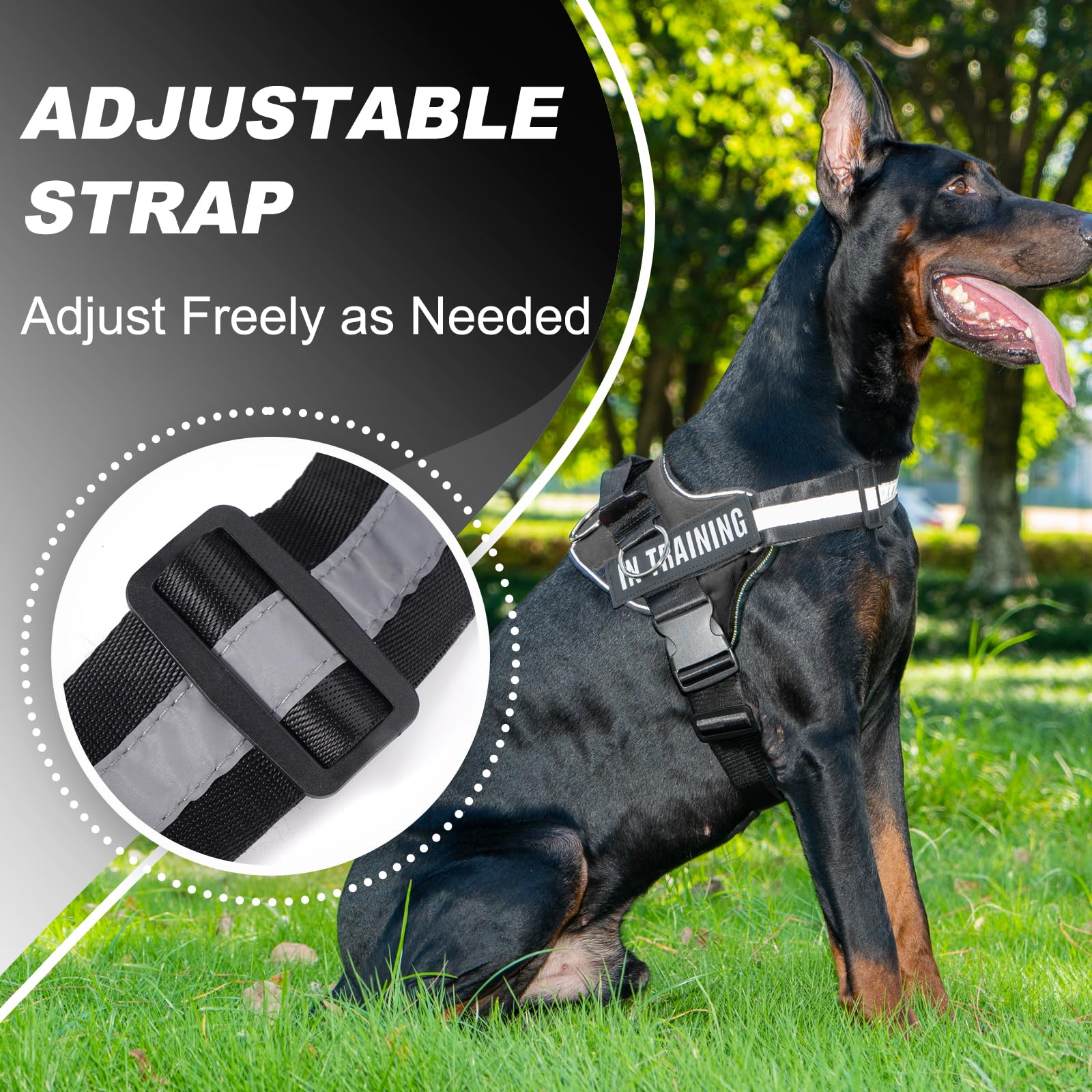 JUSTYEZI Essential Dog Harness with 3 Leash Clips - No-Pull, Adjustable, Comfortable Pet Vest Harness for Small to Large Dogs -
