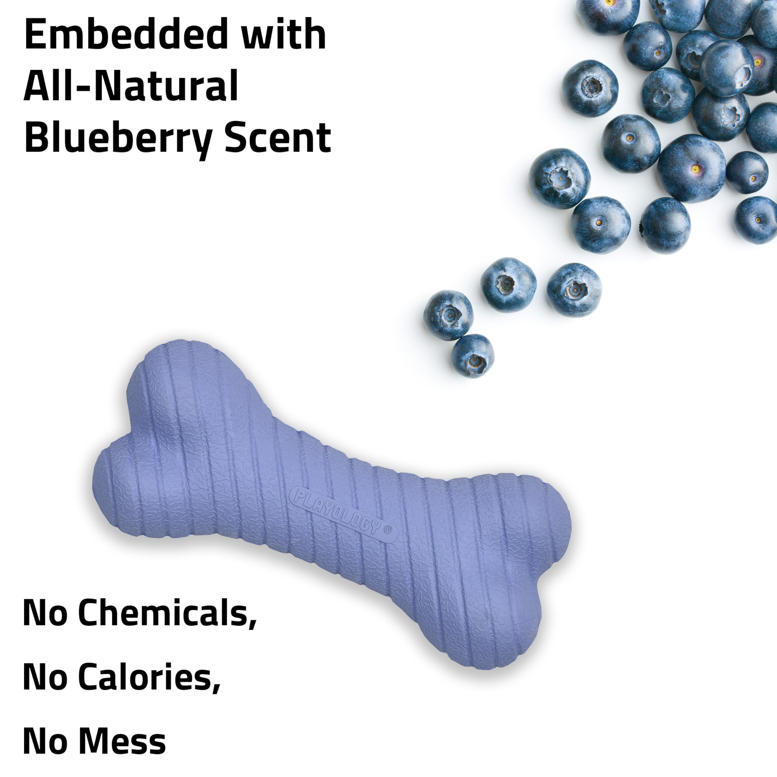 Playology Dog Toys | Dual Layer Bone Durable Chew Toy Bone for Dogs | Medium Blueberry Scented Toy - Easy to Clean and Made from