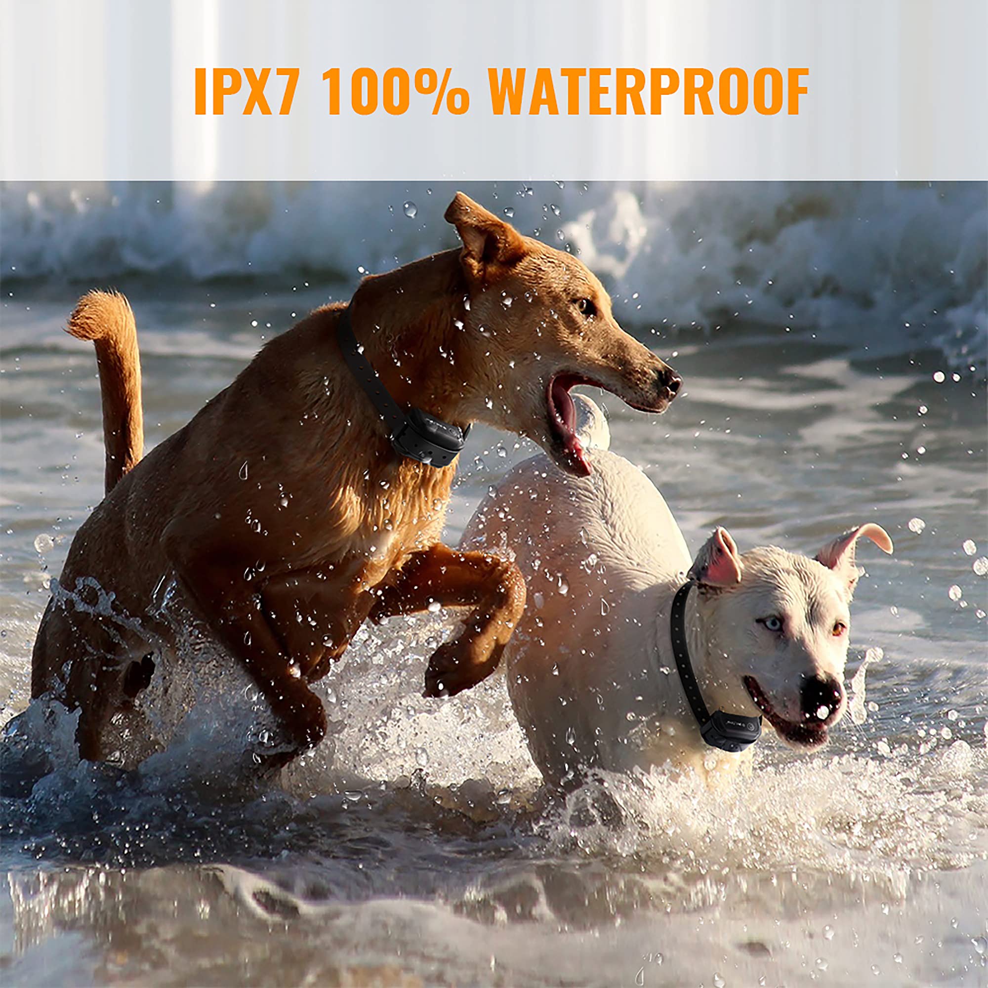 Dog Training Collar With Remote - Advanced Rechargeable Training Collar For Dogs,Easy To Carry & Fits In Your Pocket,100% Waterproof Trainer