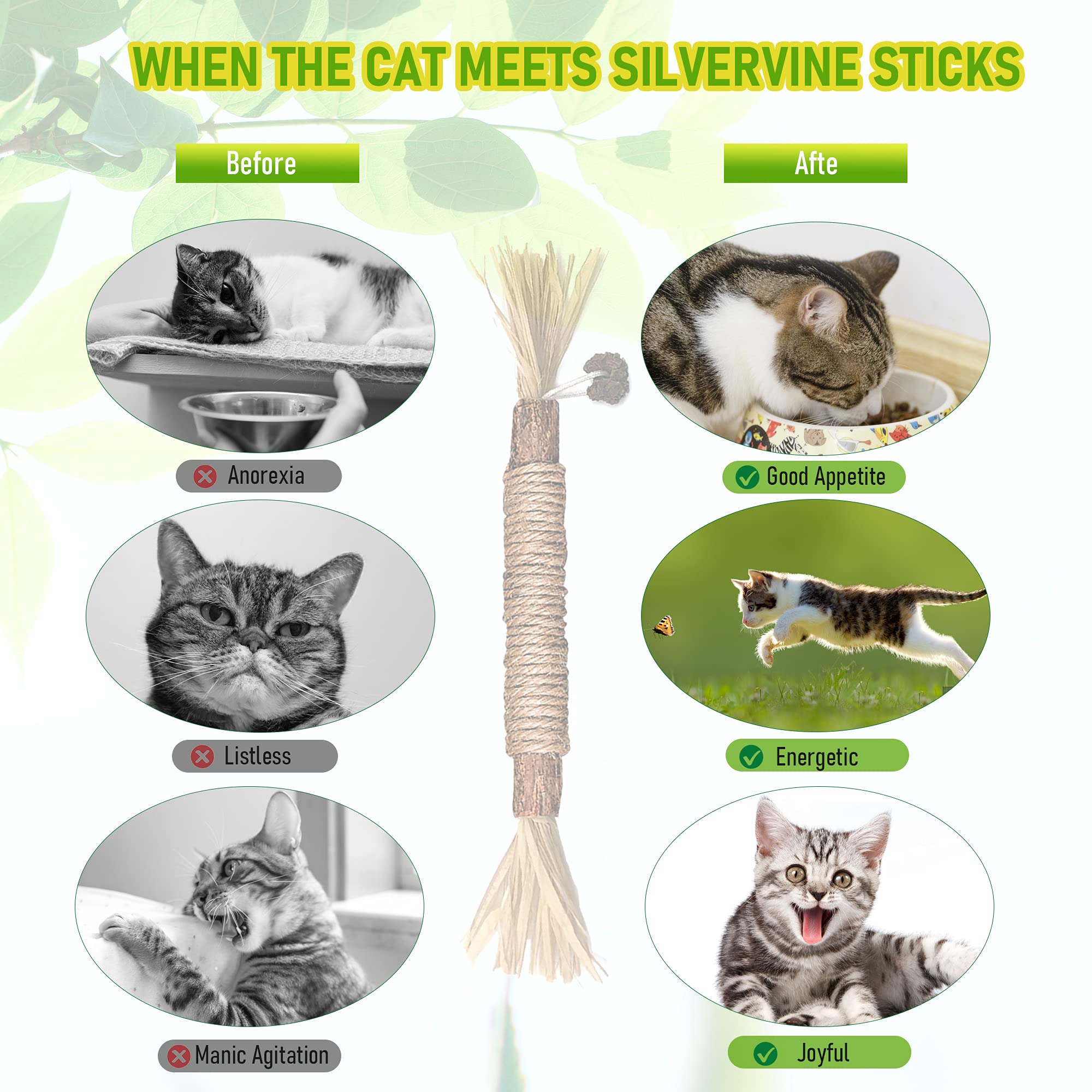 Gbsyu 5 Pack Silvervine Cat Toy, Silvervine Sticks Cat Toys For Indoor Cats, Cat & Kitten Chew Toys For Aggressive Chewers, Cat