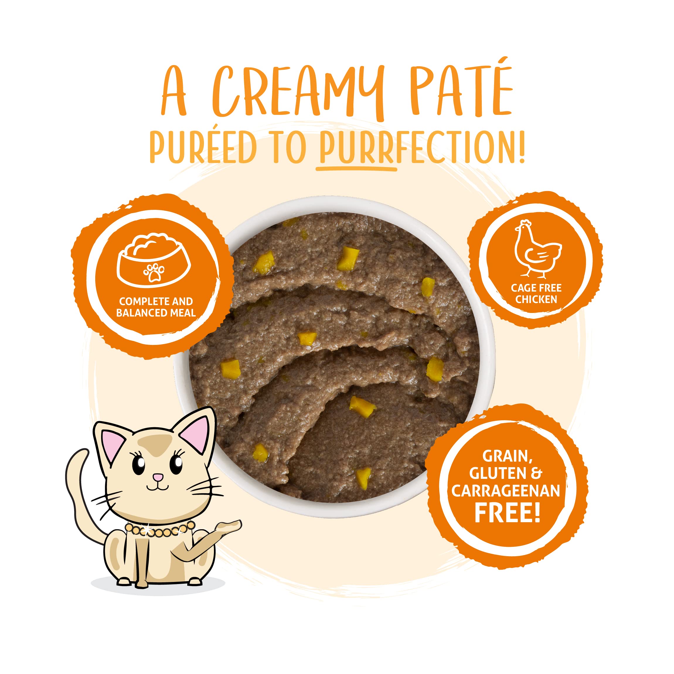 Weruva Wet Cat Food, Who Wants to be a Meowionaire with Chicken and Pumpkin Pate, 3oz Can, Pack of 12
