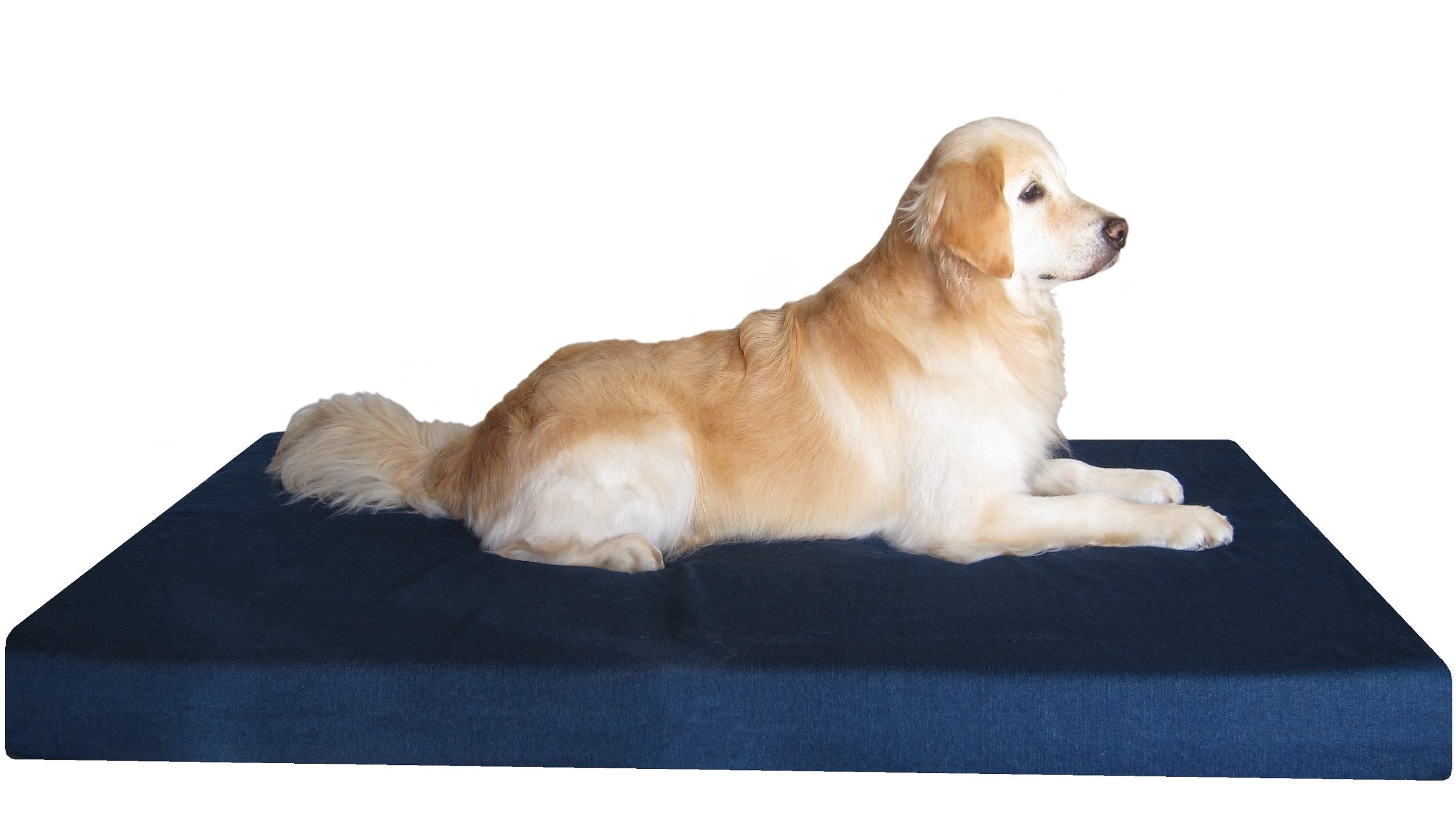 Dogbed4Less Jumbo Orthopedic Memory Foam Dog Bed For Large Dogs With Durable Denim Cover, Waterproof Liner And Extra Pet Bed Cas