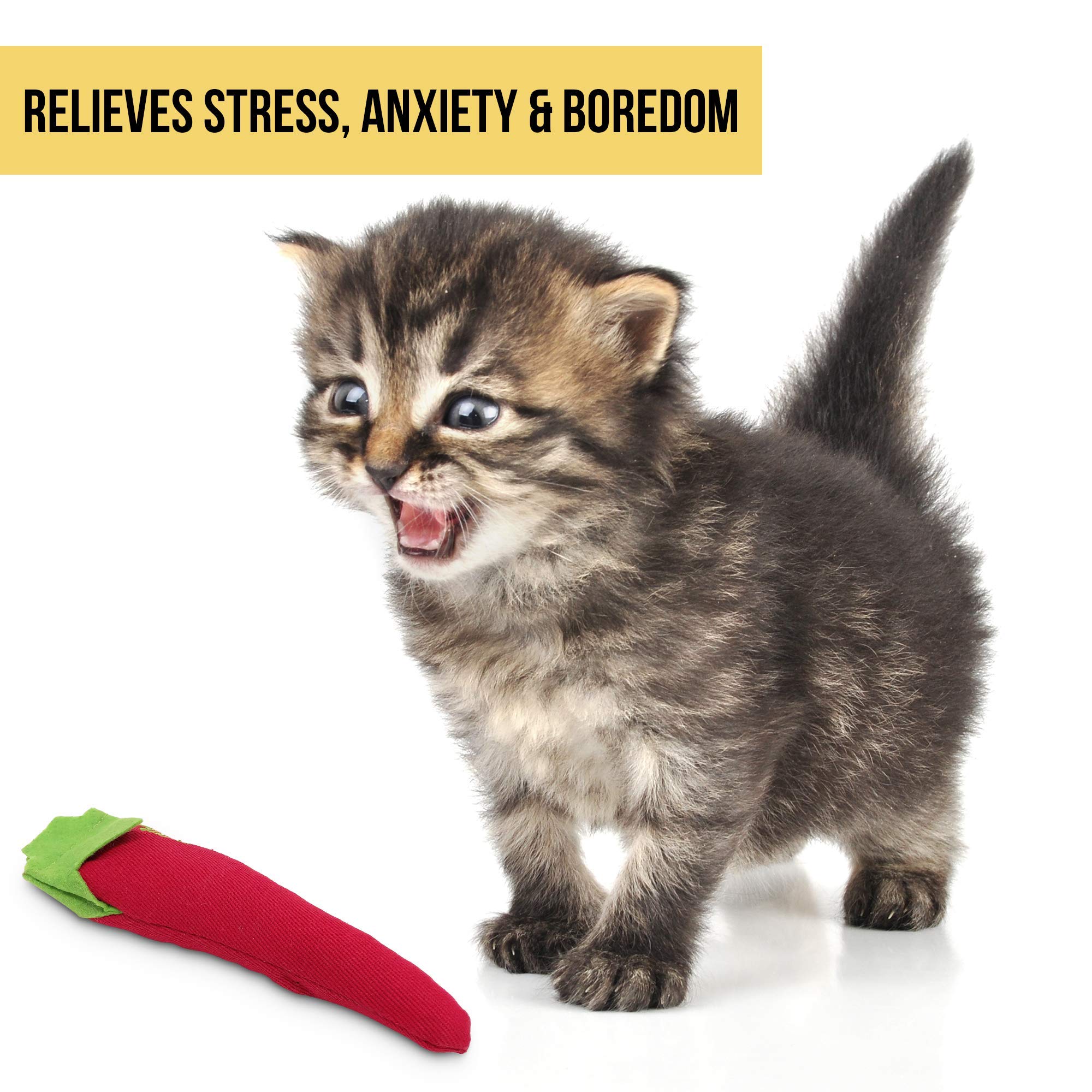 Cosmic Ourpets 100-Percent North American Catnip Filled Chili Cat Toy-Hot Stuff (Interactive Cat Toys; Catnip Toys)