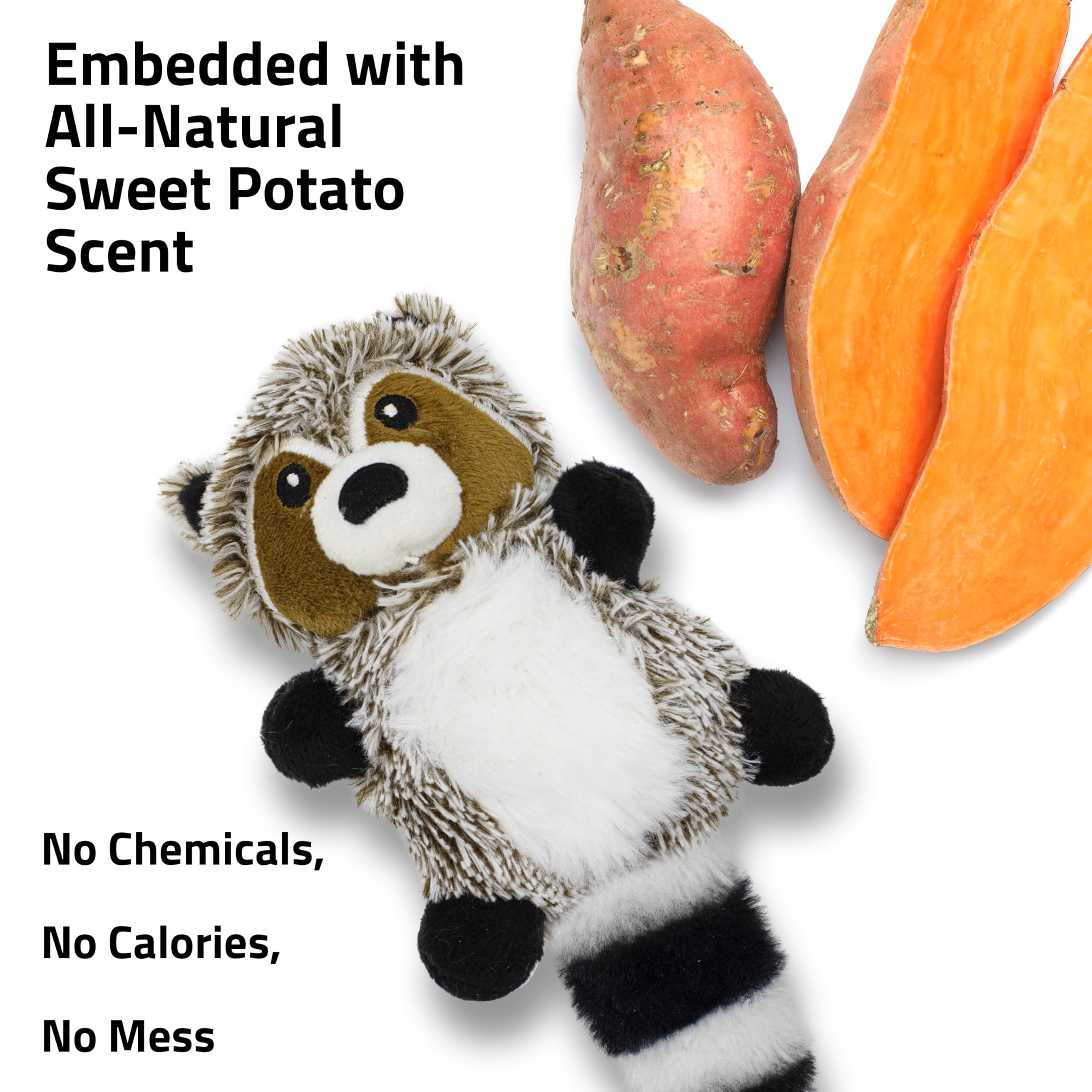 Playology Plush Toys for Dogs | Stuffed Animal Raccoon| Sweet Potato Scented for Small Dogs