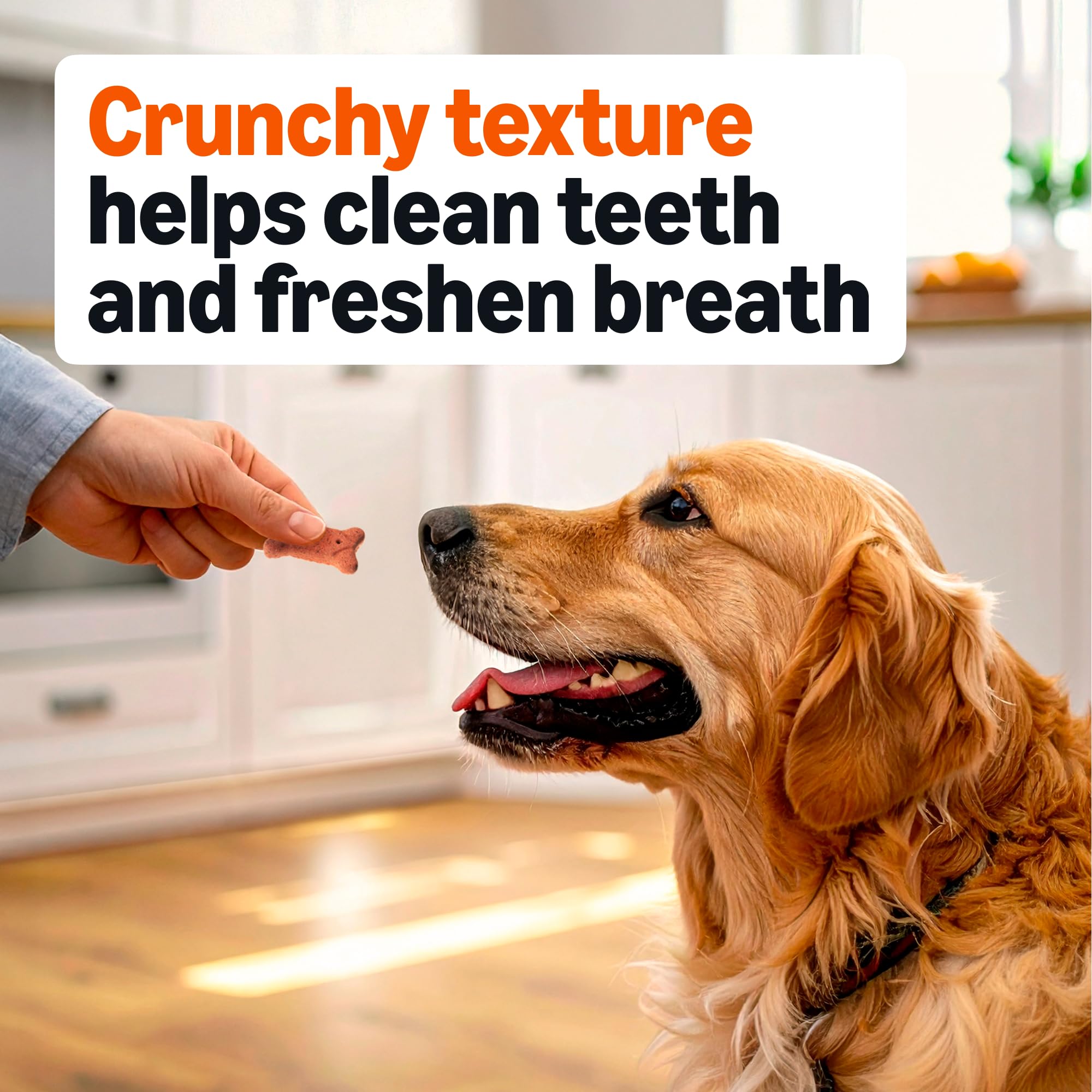 Amazon Basics Crunchy Dog Biscuits, Multi Flavor Treats, 5 lb. Box