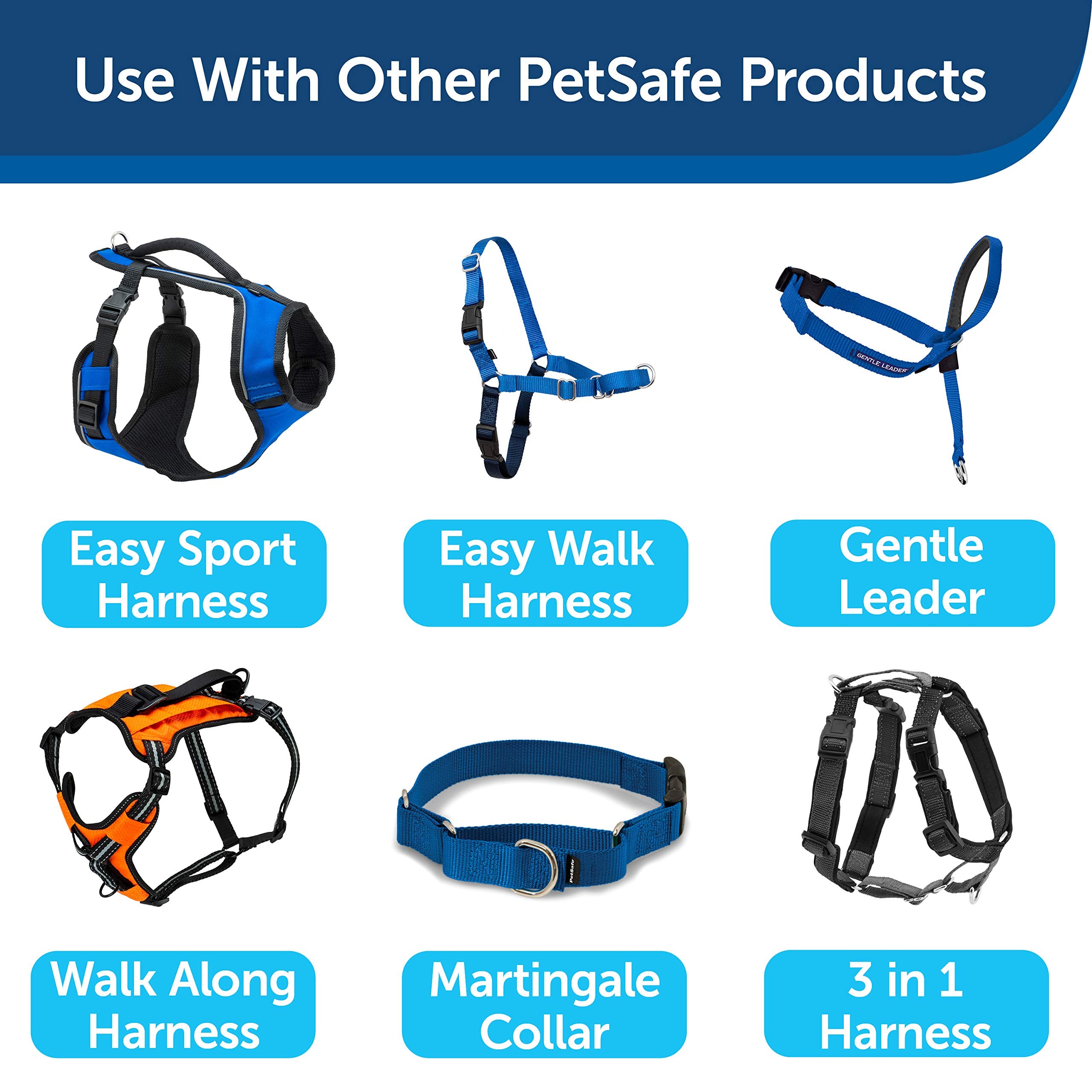 Petsafe Nylon Dog Leash - Strong, Durable, Traditional Style Leash With Easy To Use Bolt Snap - 3/8 In. X 6 Ft., Royal Blue