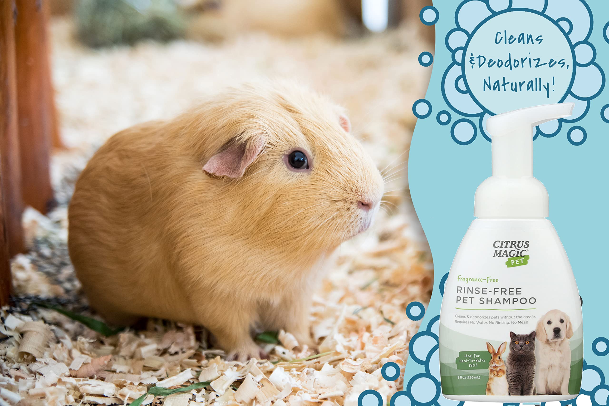 Citrus Magic Pet Rinse-Free Pet Shampoo, 8-Fluid Ounce, Pack of 2