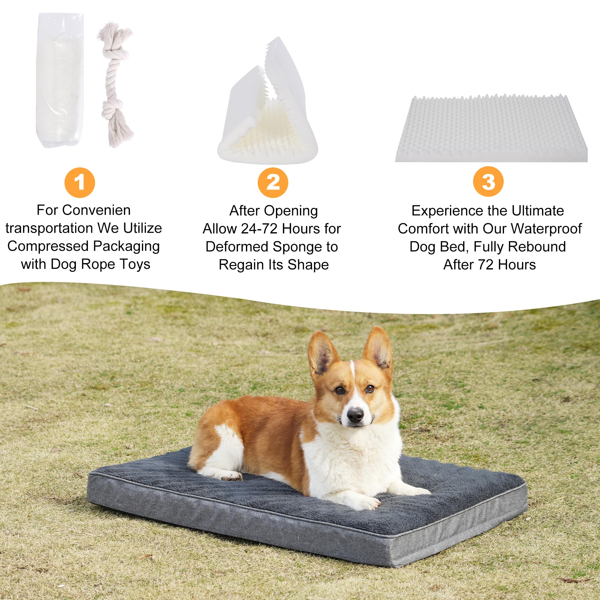Softhola Orthopedic Dog Bed For Small/Medium Dogs, Mat With Removable Washable Cover & Anti-Slip Bottom, Egg Crate Foam - 30 X 2