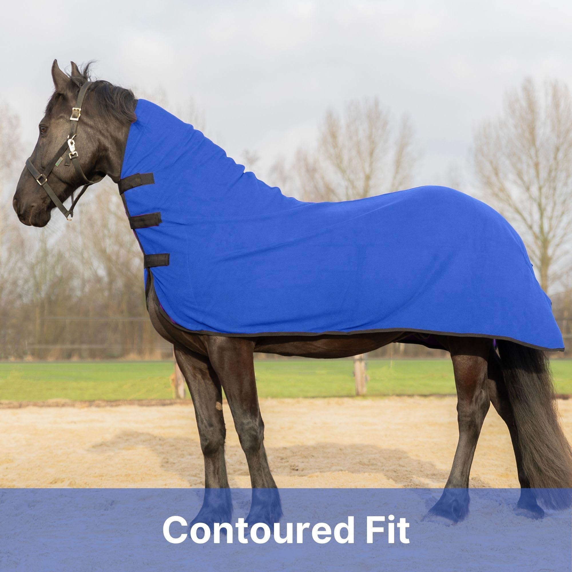Resistance Long Lasting & Warm Soft Fleece Contour Cooler For Horse (Small (62-66), Royal Blue)