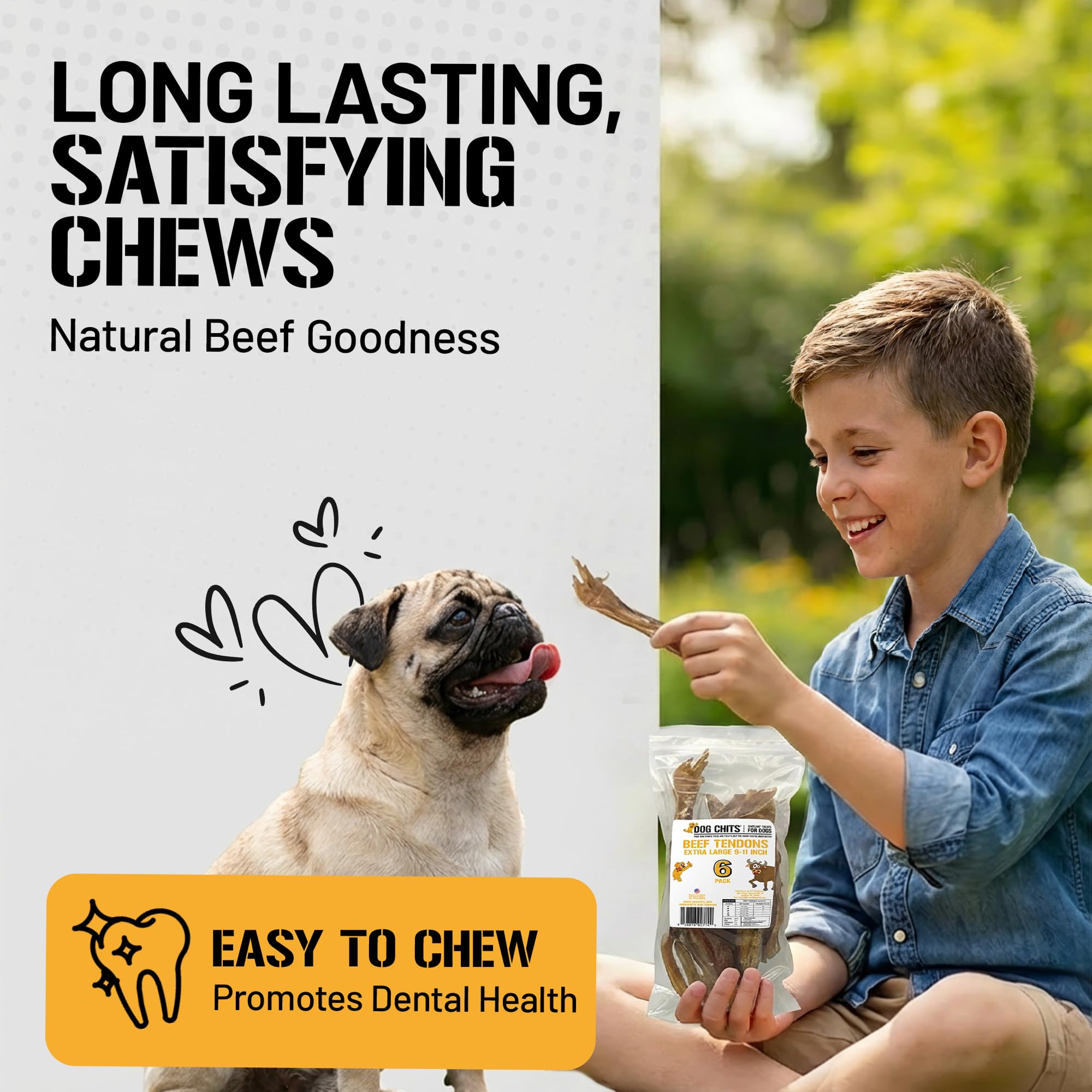 Dog Chits Beef Tendons XL for Dogs and Puppies | Thick Cut | Meaty Cuts | Grass Fed Beef | 9-11 inch | 6 Pack | All Natural Trea