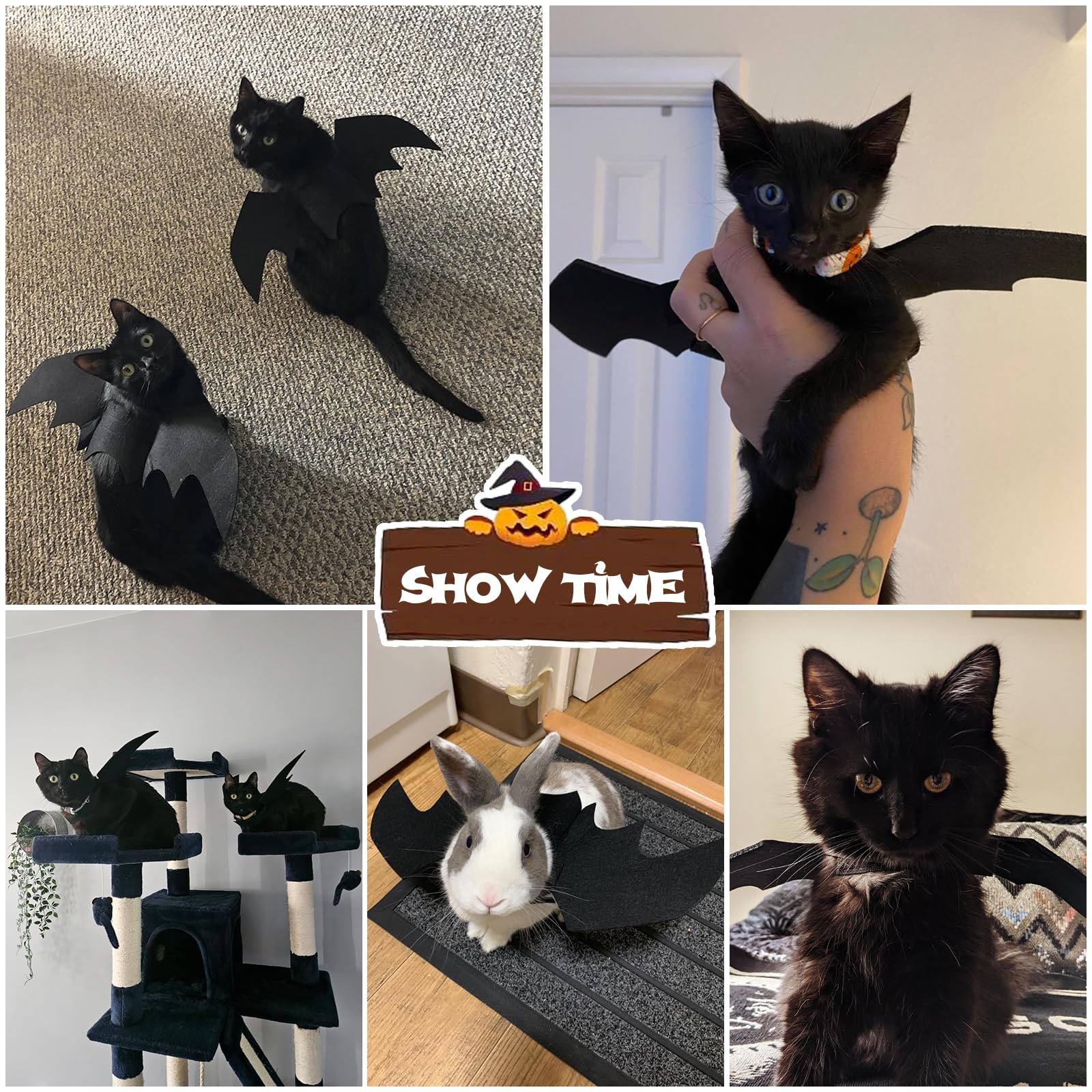 Halloween Pet Bat Wings Cat Dog Bat Costume, Cat Bat Wings Halloween Costume for Cats Small Dogs, Puppy Cosplay Bat Costume Cat