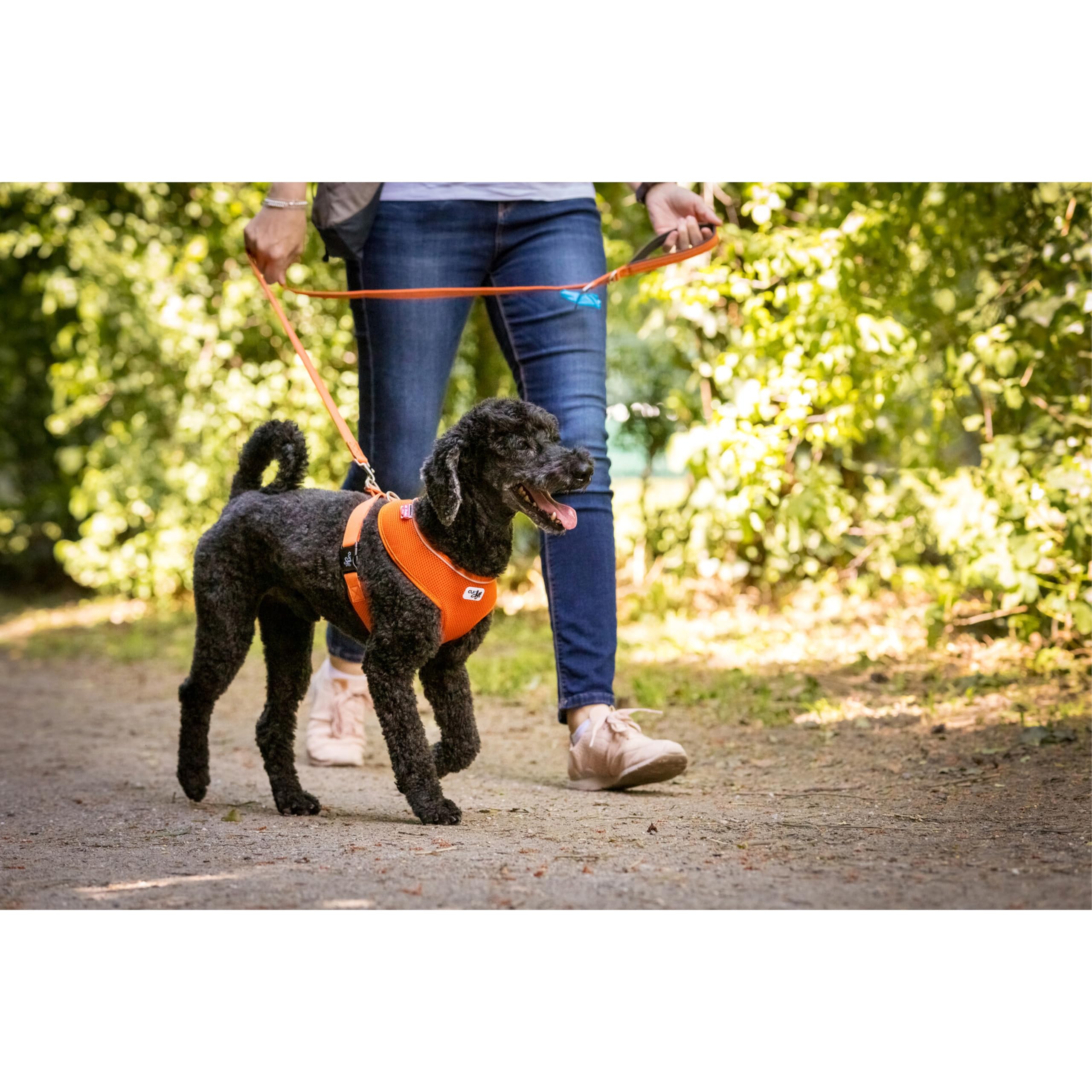 Curli Basic Harness Air-Mesh Dog Harness Pet Vest Adjustable Step-In Light Harness Black L