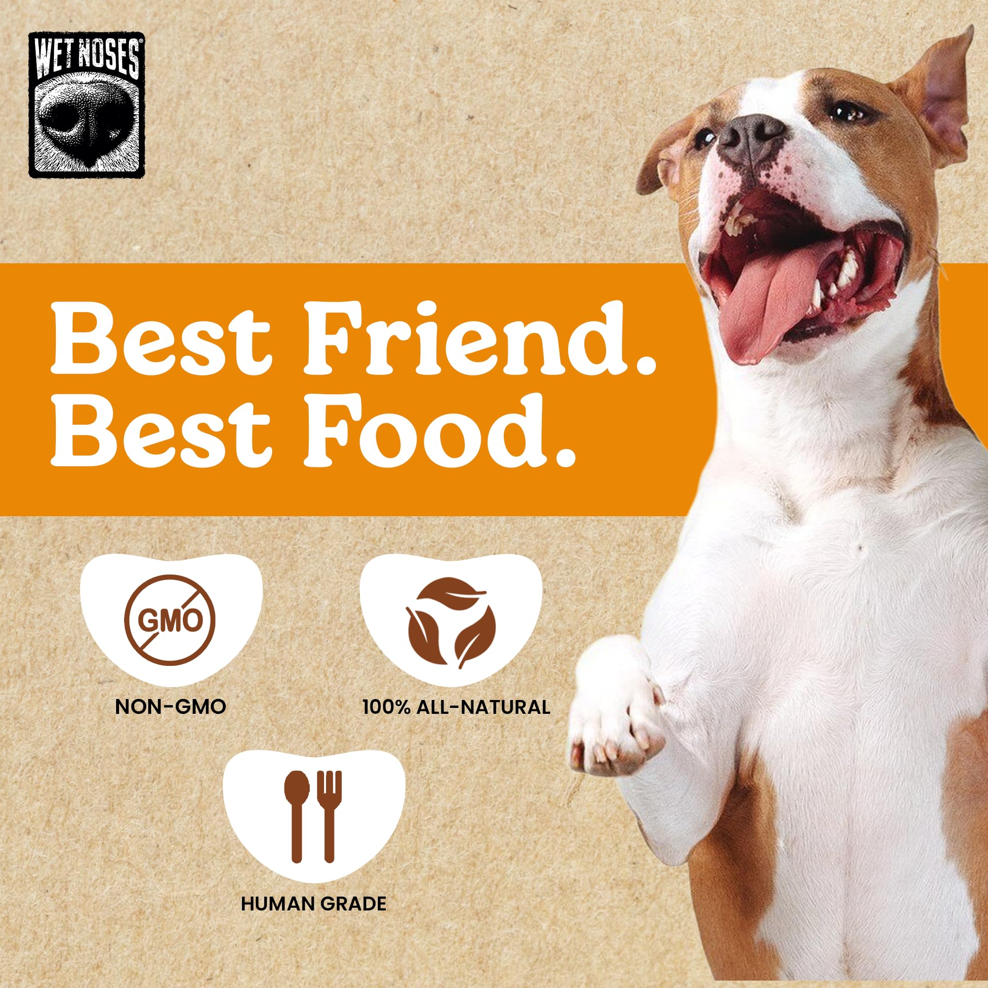 Wet Noses Moments Non-GMO Pumpkin Biscotti Crunchy Dog Treats - 14oz | No Corn, Wheat, Soy or Peas, Made with 7 Simple Ingredien