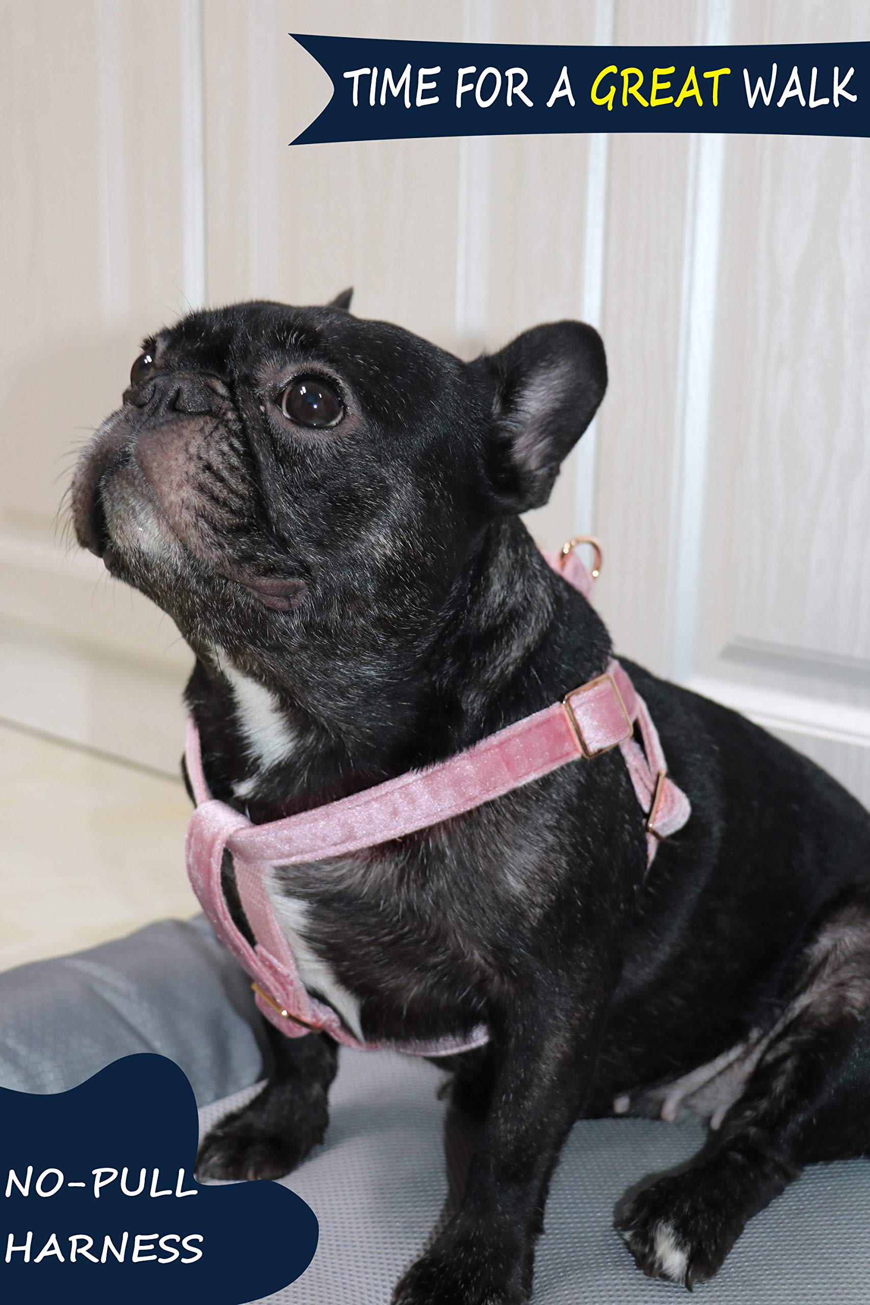 ARING PET Dog Halter Harness - Velvet, No Pull, Adjustable Heavy Duty for Small to Large Dogs