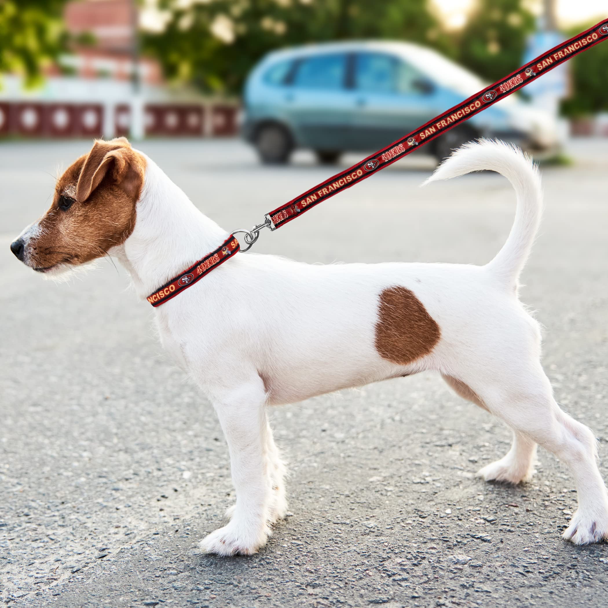 Pets First NFL San Francisco 49ers Licensed PET COLLAR, Large - Heavy-Duty, Strong, and Durable Dog Collar. Available in 31 Foot