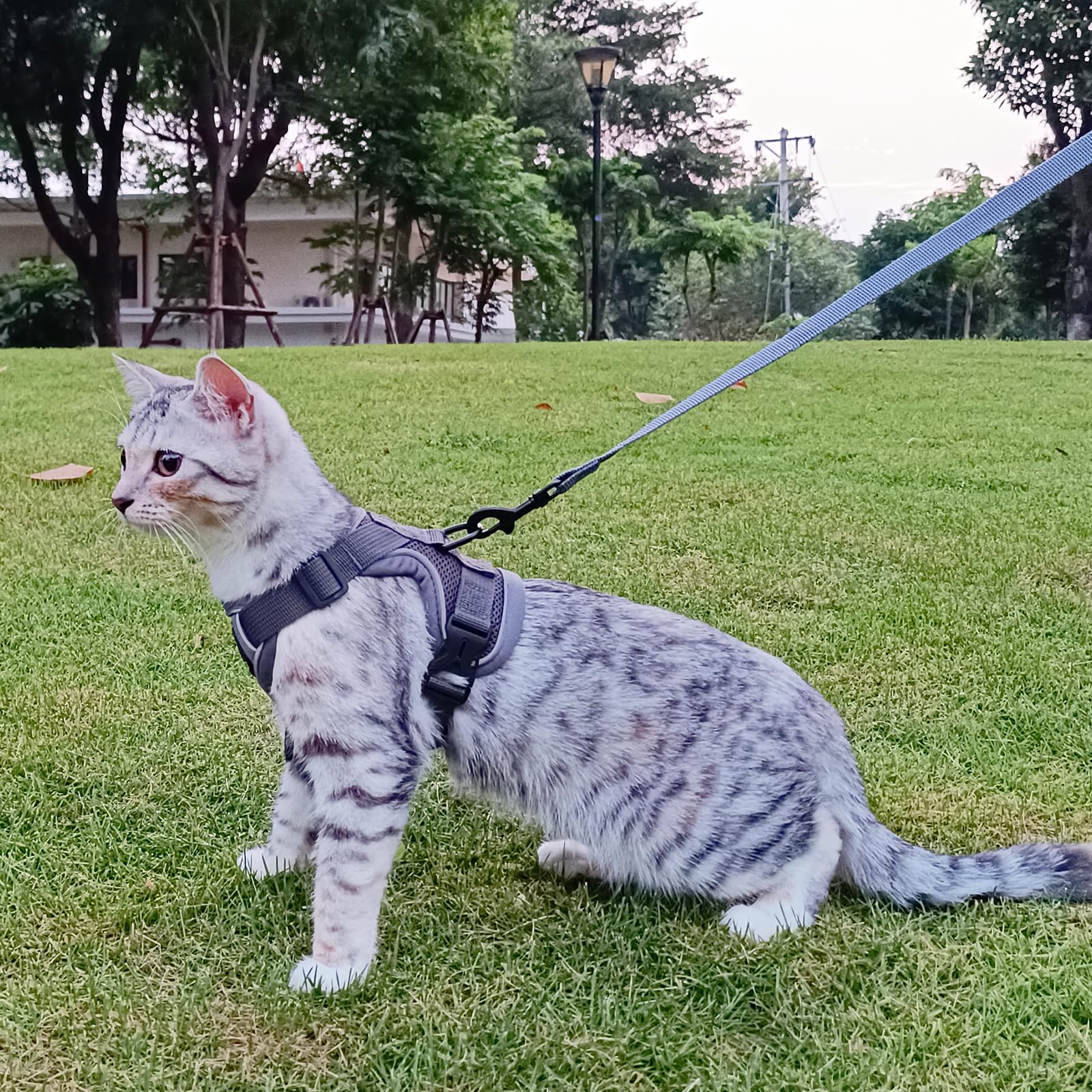 pangdi Cat Harness and Leash Set, Escape Proof Tactical Vest, XL, Grey, Nylon