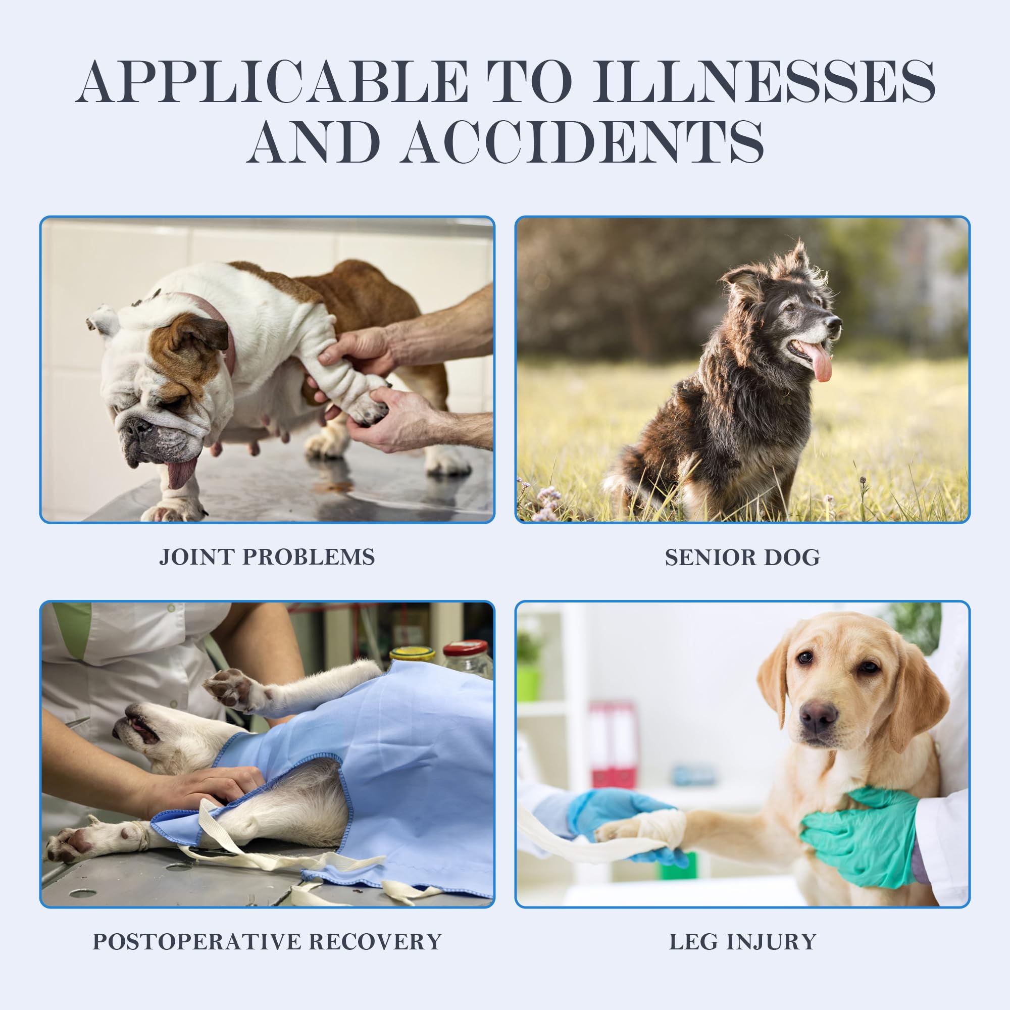 Dog Lift Harness, Full Body Support with Adjustable Control Handle & Reflective Straps for Medium Senior Dogs, Post-Surgery Reco