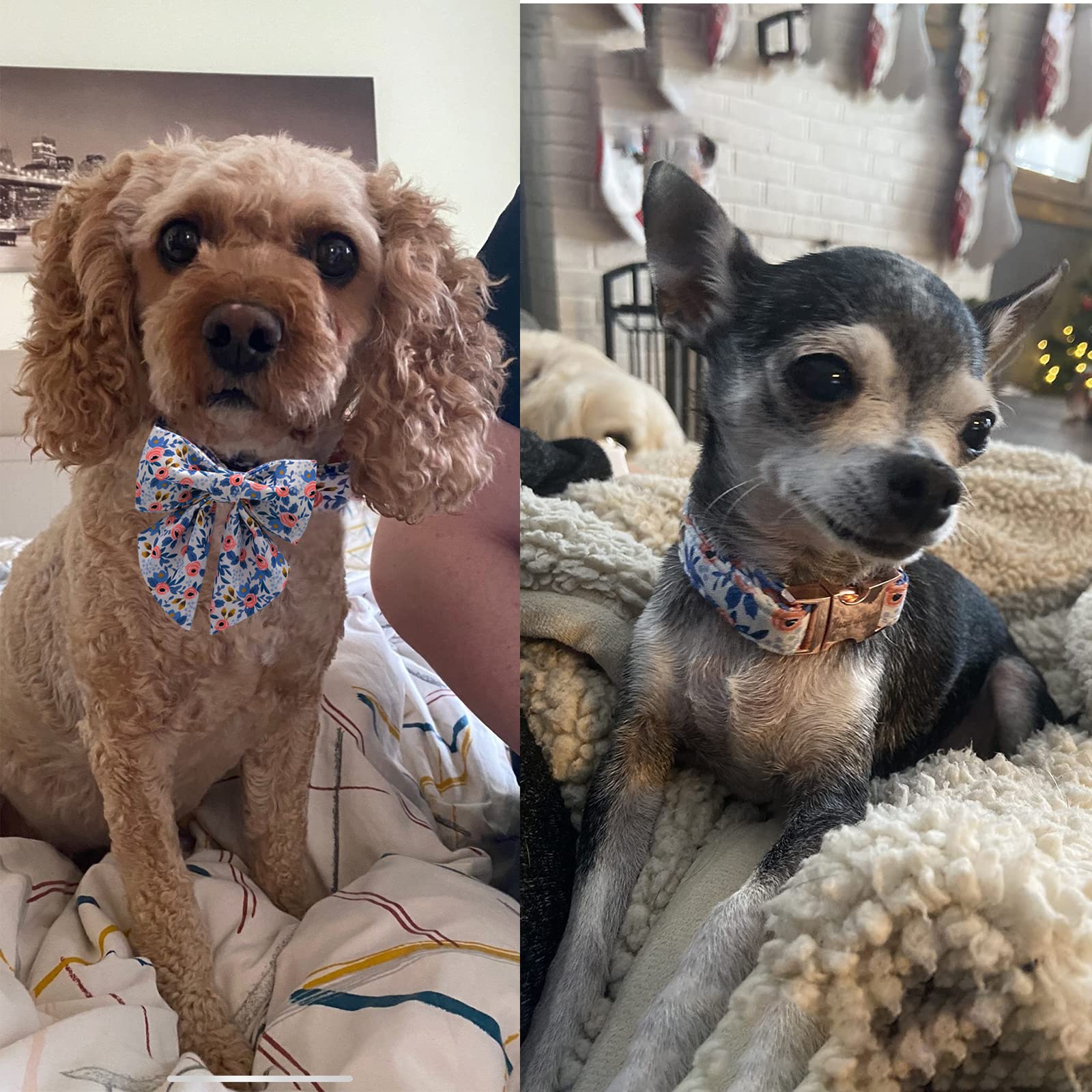 Unique Style Paws Dog Collar With Tie Adjustable Blue Bowtie Puppy Collars For Small Medium Large Dogs And Cats-S