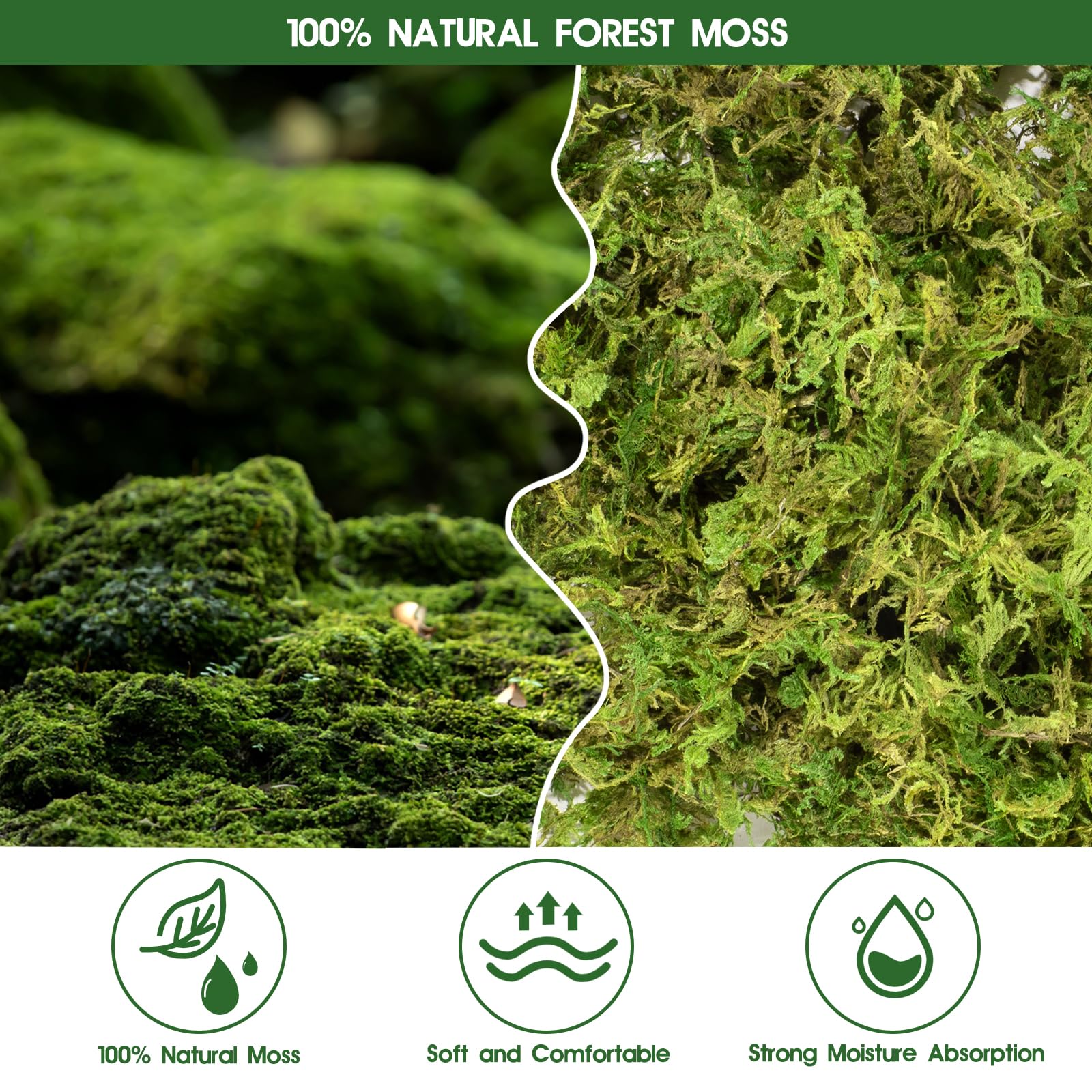 Pakimi 28Oz Sphagnum Moss For Reptiles, Terrarium Natural Green Dried Peat Habitat Bedding Plants For Snakes Gecko Forest Frogs