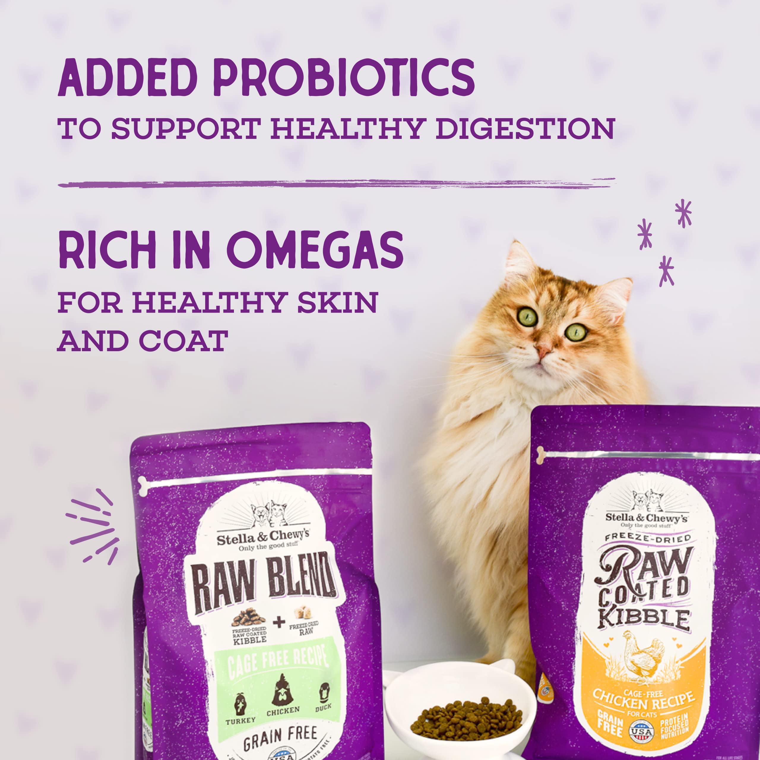 Stella & Chewys Raw Coated Cat Food - High Protein, Grain-Free Kibble with Wild-Caught Salmon - Premium Digestive Support with