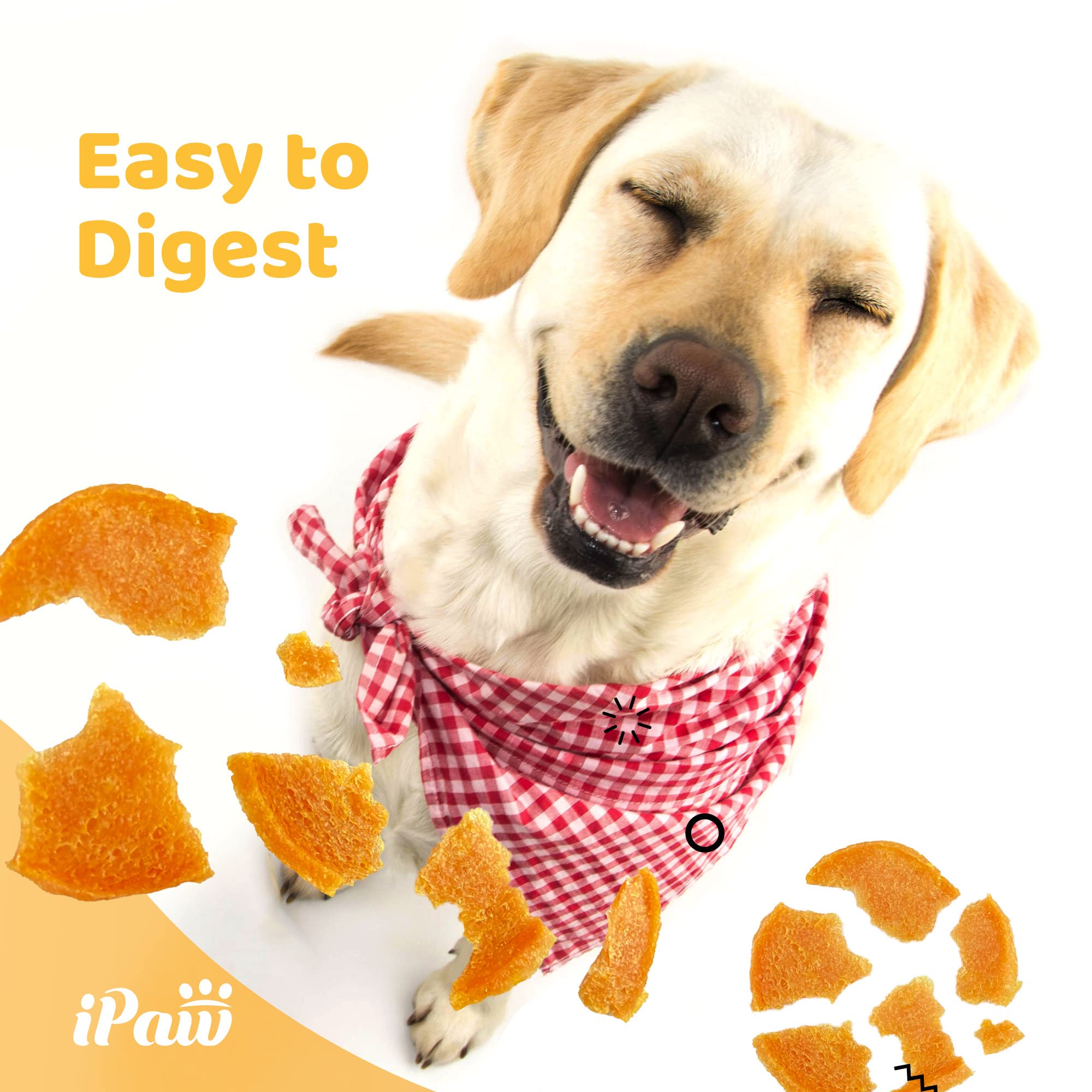 iPaw Chicken Chips Dog Treats for Puppy Training, All Natural Human Grade Dog Treat, Hypoallergenic, Easy to Digest (Chicken Chi