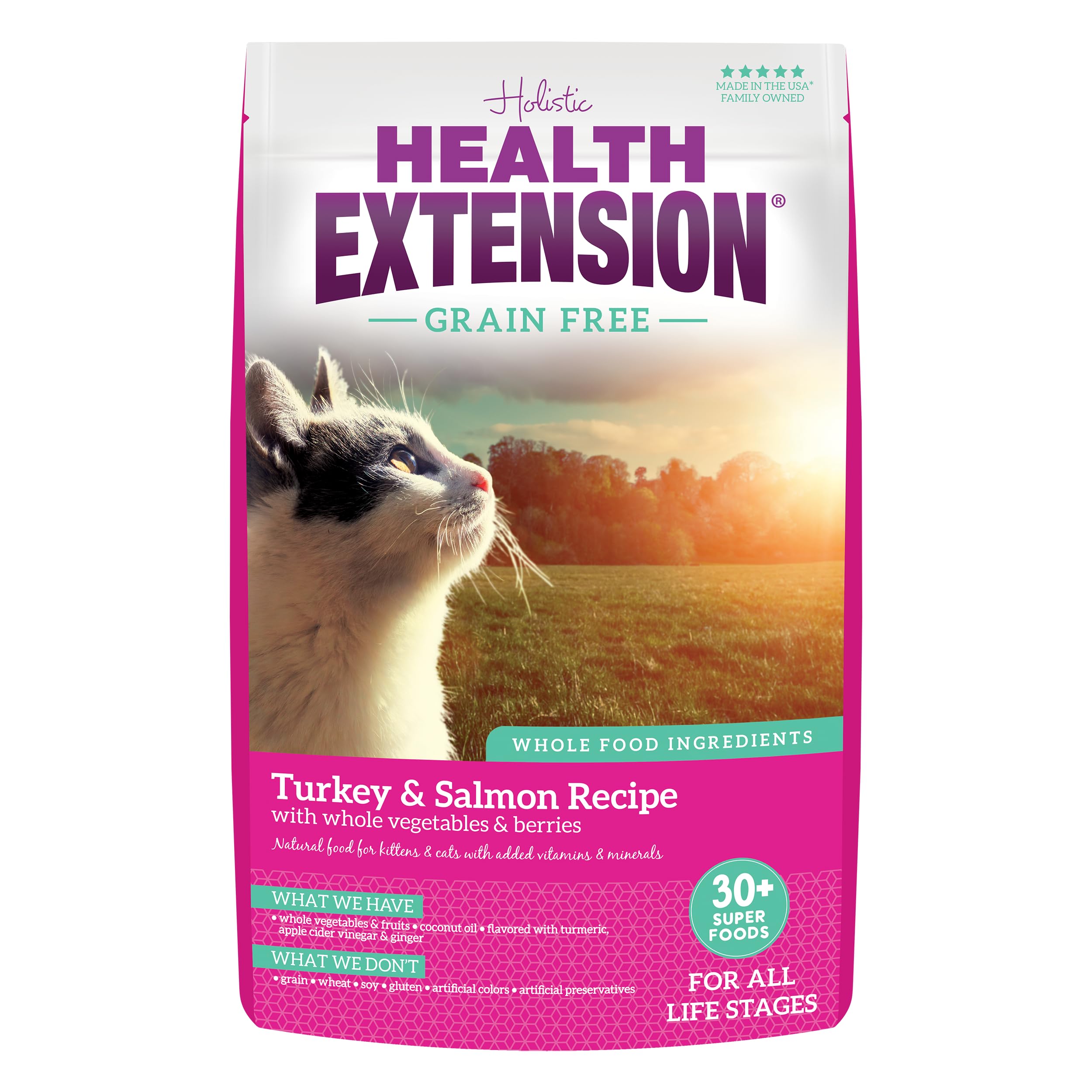 Health Extension Dry Cat Food, (15 lb / 6.8 kg) - Turkey & Salmon Recipe with Whole Vegetables, Berries, Added Vitamins & Minera