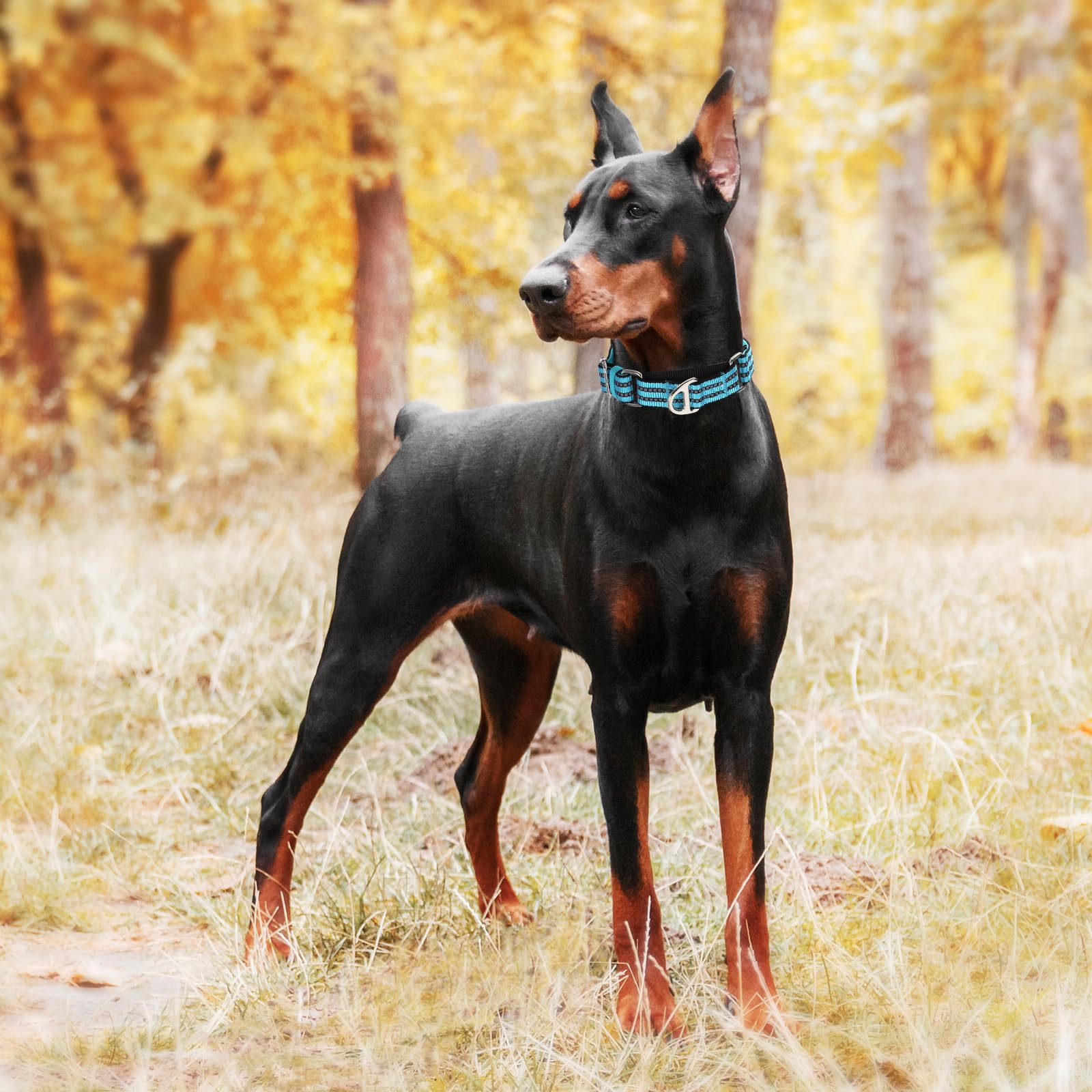 Martingale Dog Collars For Large Dogs, Reflective Nylon No Pull Choke Collar With Padded Heavy-Duty Metal D-Ring No Buckle For N