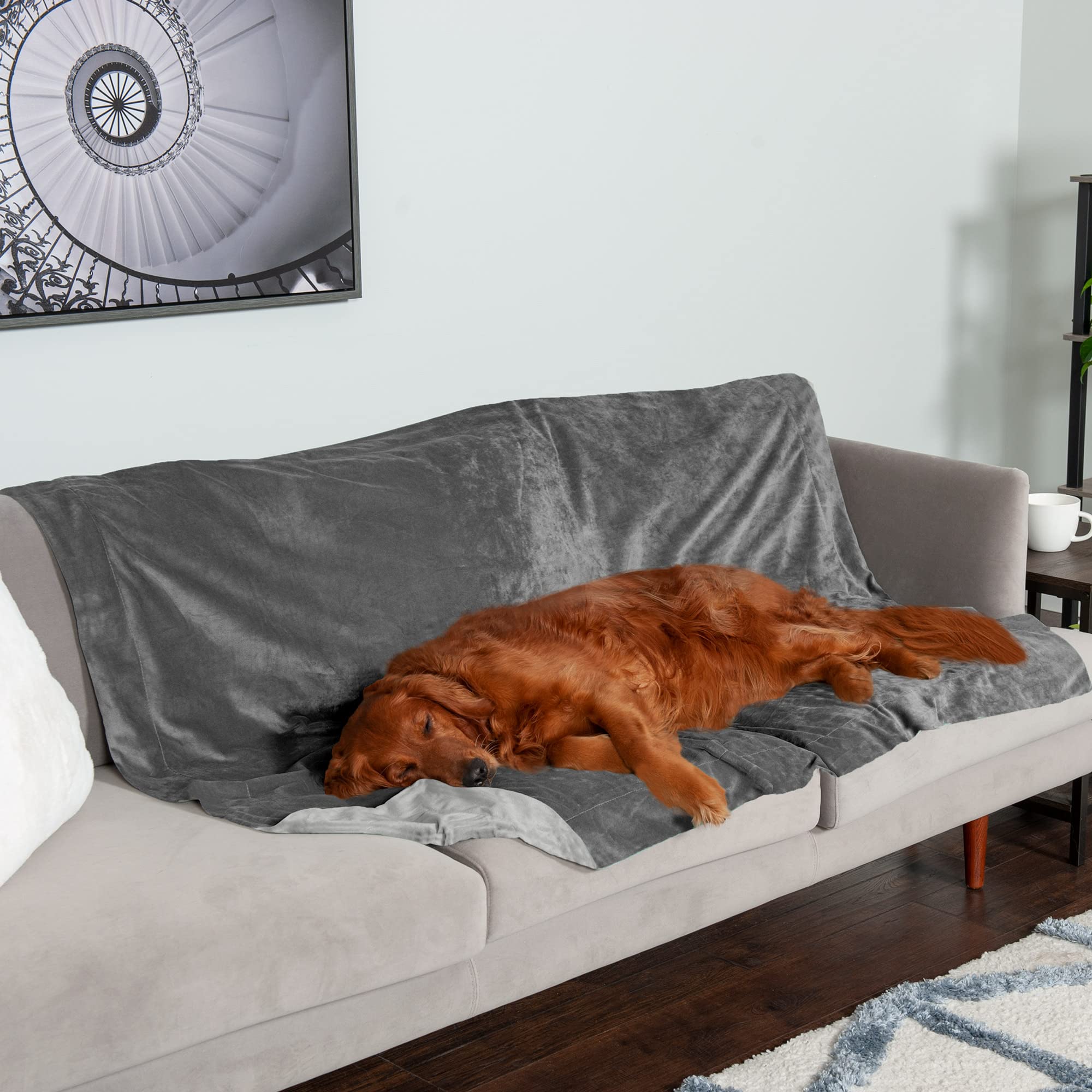 Furhaven Waterproof Throw Blanket For Dogs & Indoor Cats, Washable - Two-Tone Luxe Velvet Dog Blanket - Granite Gray, Extra Larg