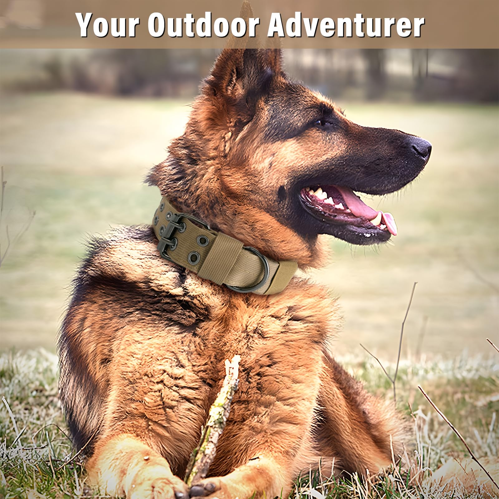 Heavy Duty Tactical Paracord Collar, Metal Buckle And Patches, Ideal For German Shepherd, Pitbull, Rottweiler (Green, L)