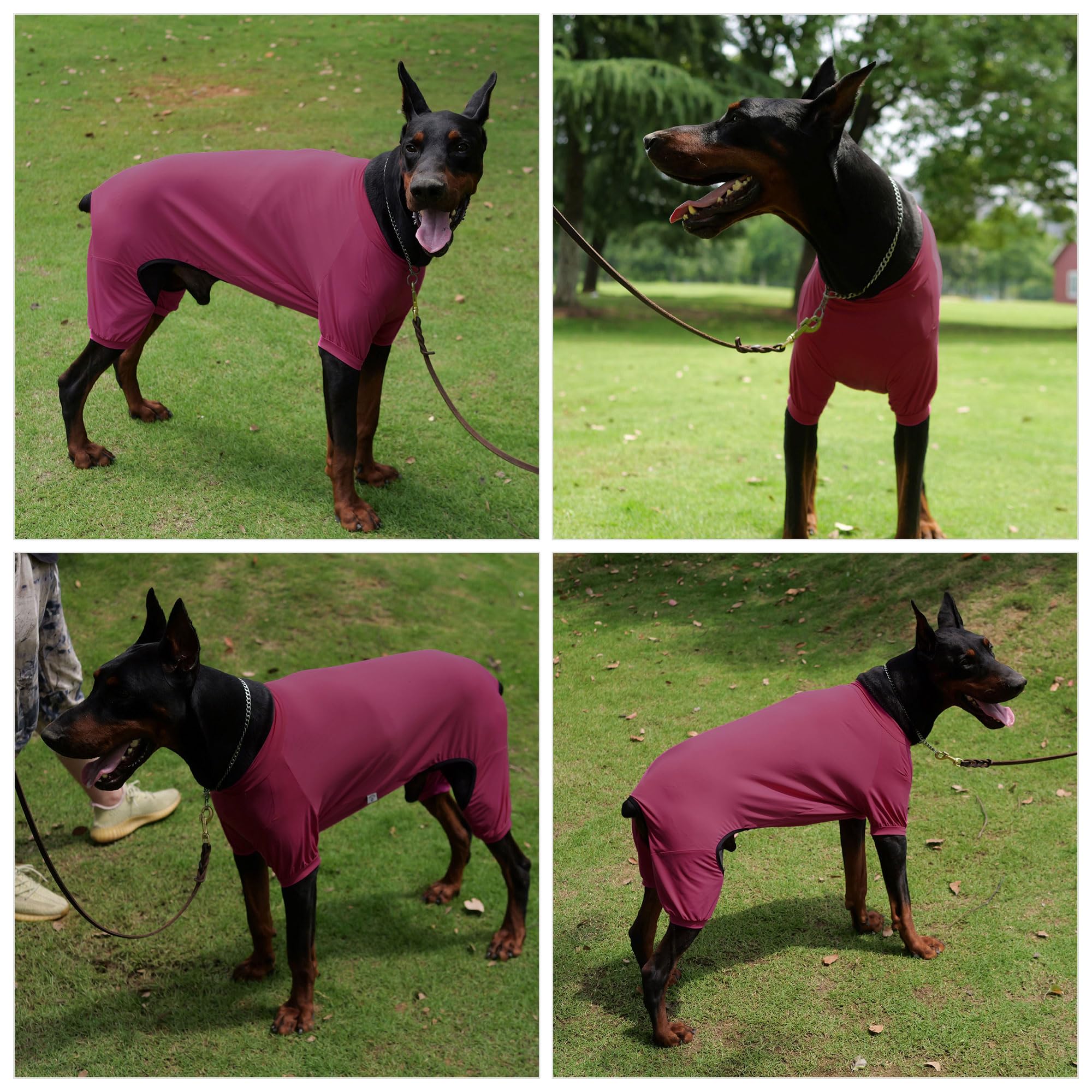 Lovelonglong Dog Jumpsuit With Uv Protection And Quick-Dry Fabric For Spring Summer Pet Pajamas Taro Purple 2Xl