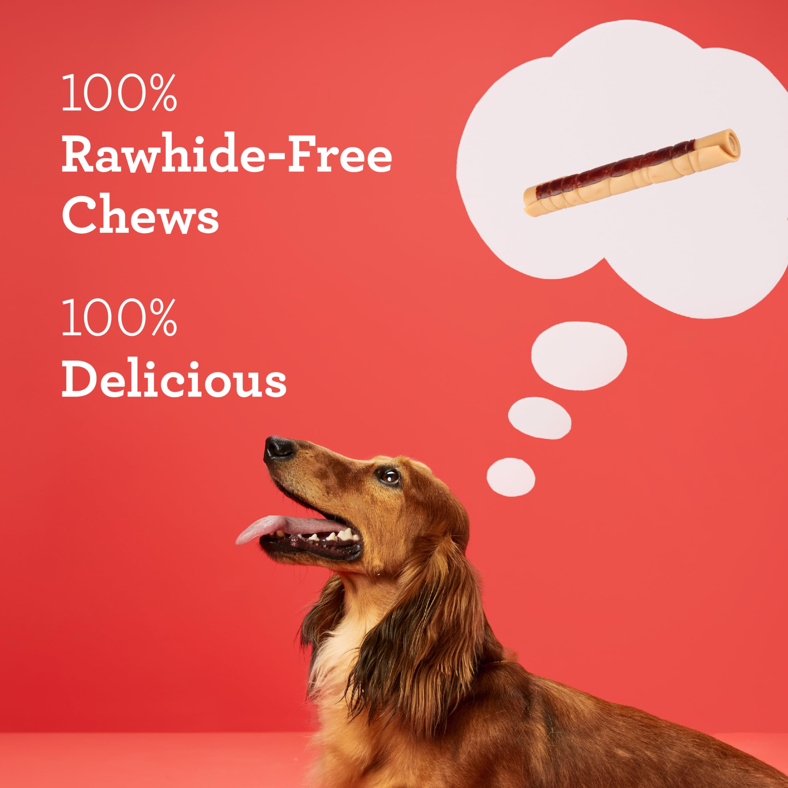 DreamBone DreamSticks With Real Chicken Chews For Dogs, 15 Count, These Easy-to-Digest Rawhide-Free Chews are a Dogs Favorite Di