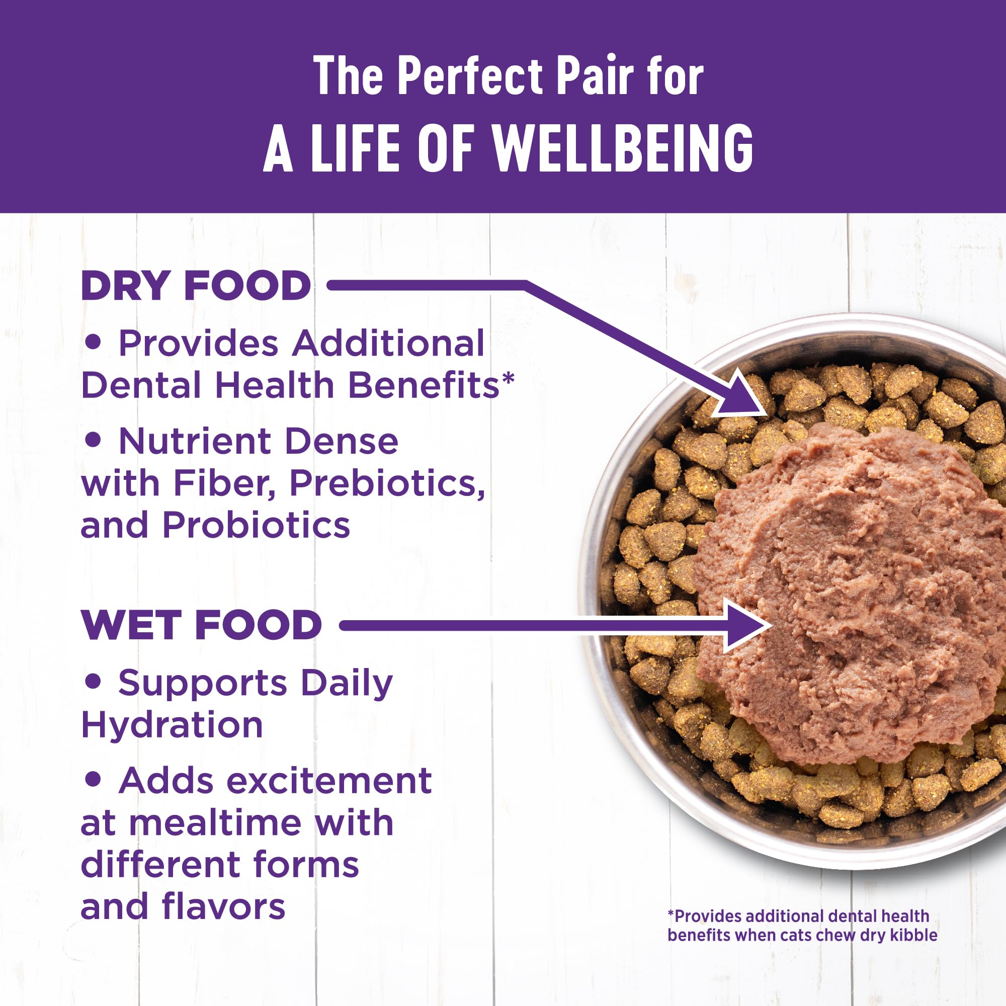 Wellness Complete Health Grain Free Canned Cat Food, Chicken Pate, 12.5 Ounces (Pack of 12)