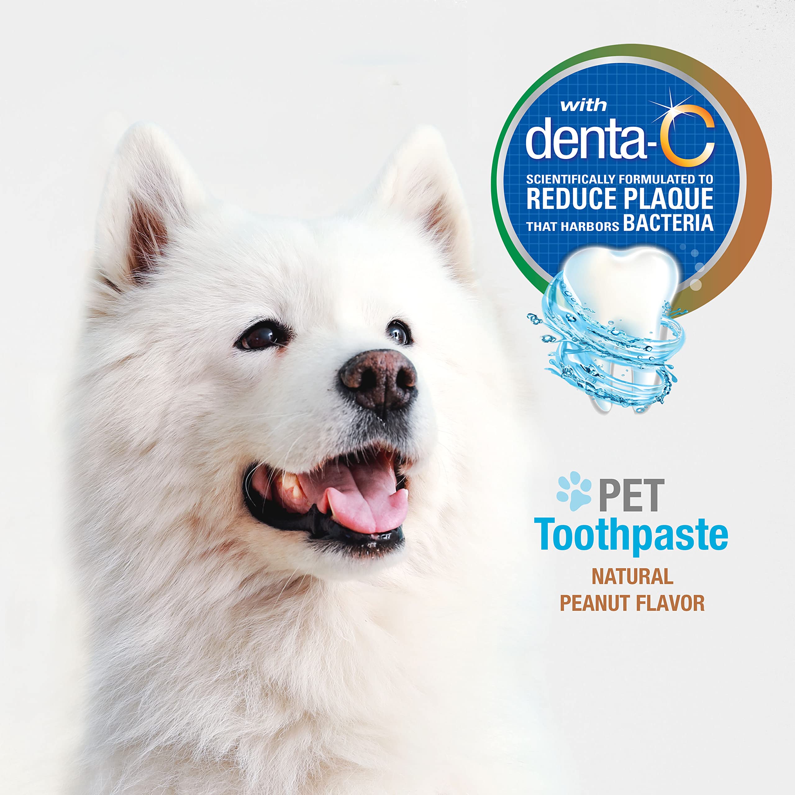 Nylabone Advanced Oral Care Natural Toothpaste Peanut Butter 2.5 oz. (1 Count)
