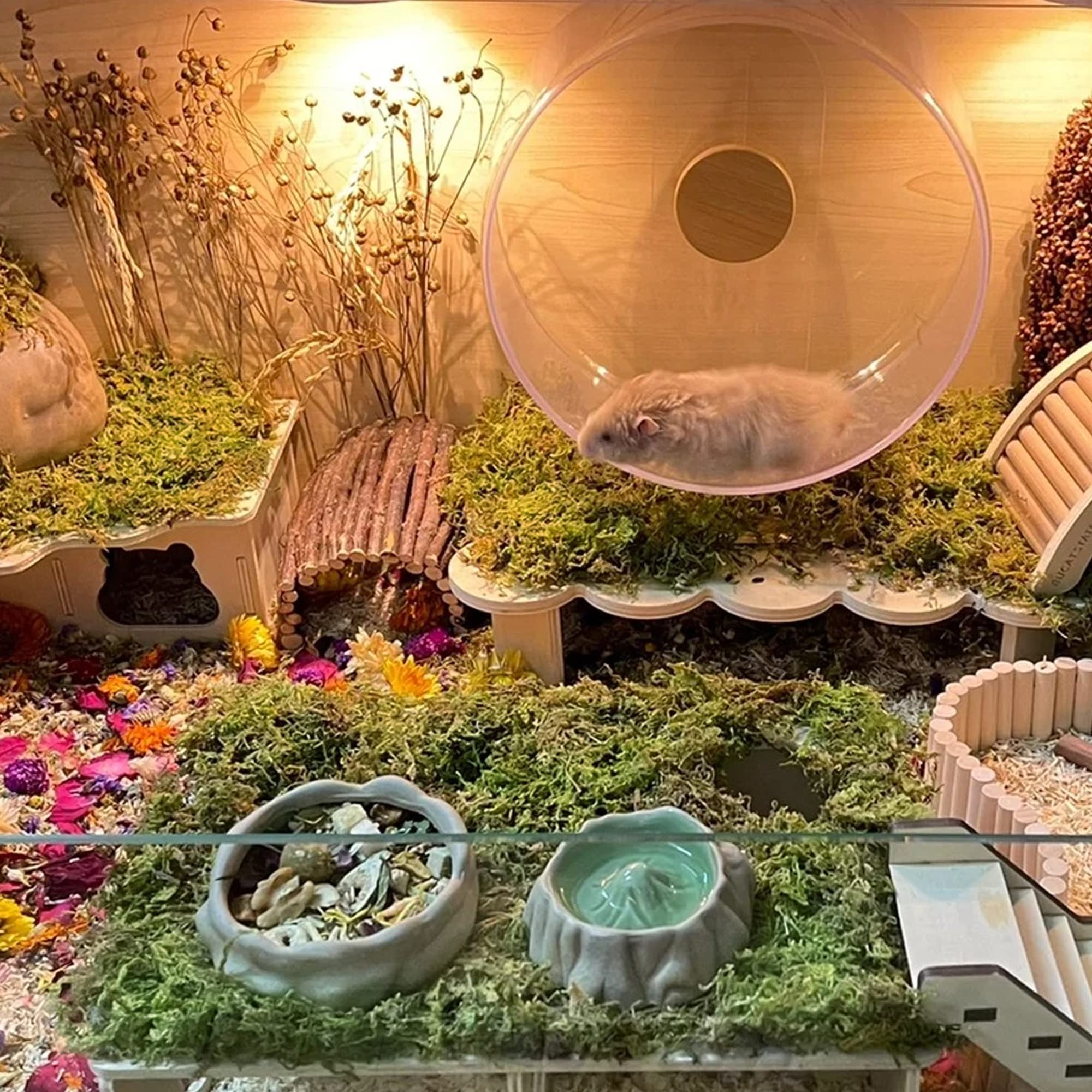 Dr.Dudu 15L Forest Moss For Hamster Bedding Nesting, Syrian Gerbils Hamster Cages Accessories, Perfect For Small Animals Terrarium Moss