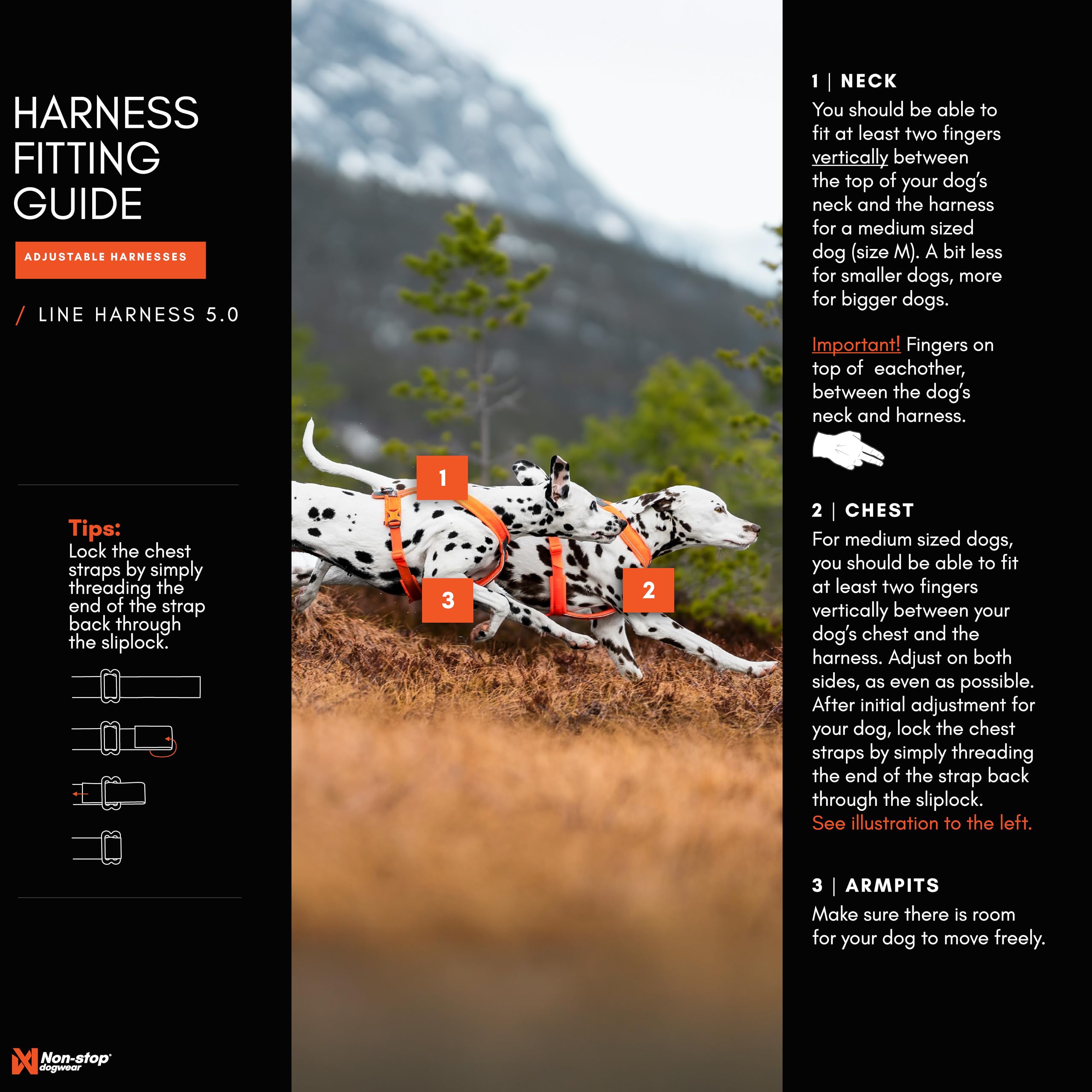 Non-Stop Dogwear Line Harness 5.0, Padded Dog Harness For Medium Dogs, Made For Hiking, Sport And Everyday Active Life With 3 Le