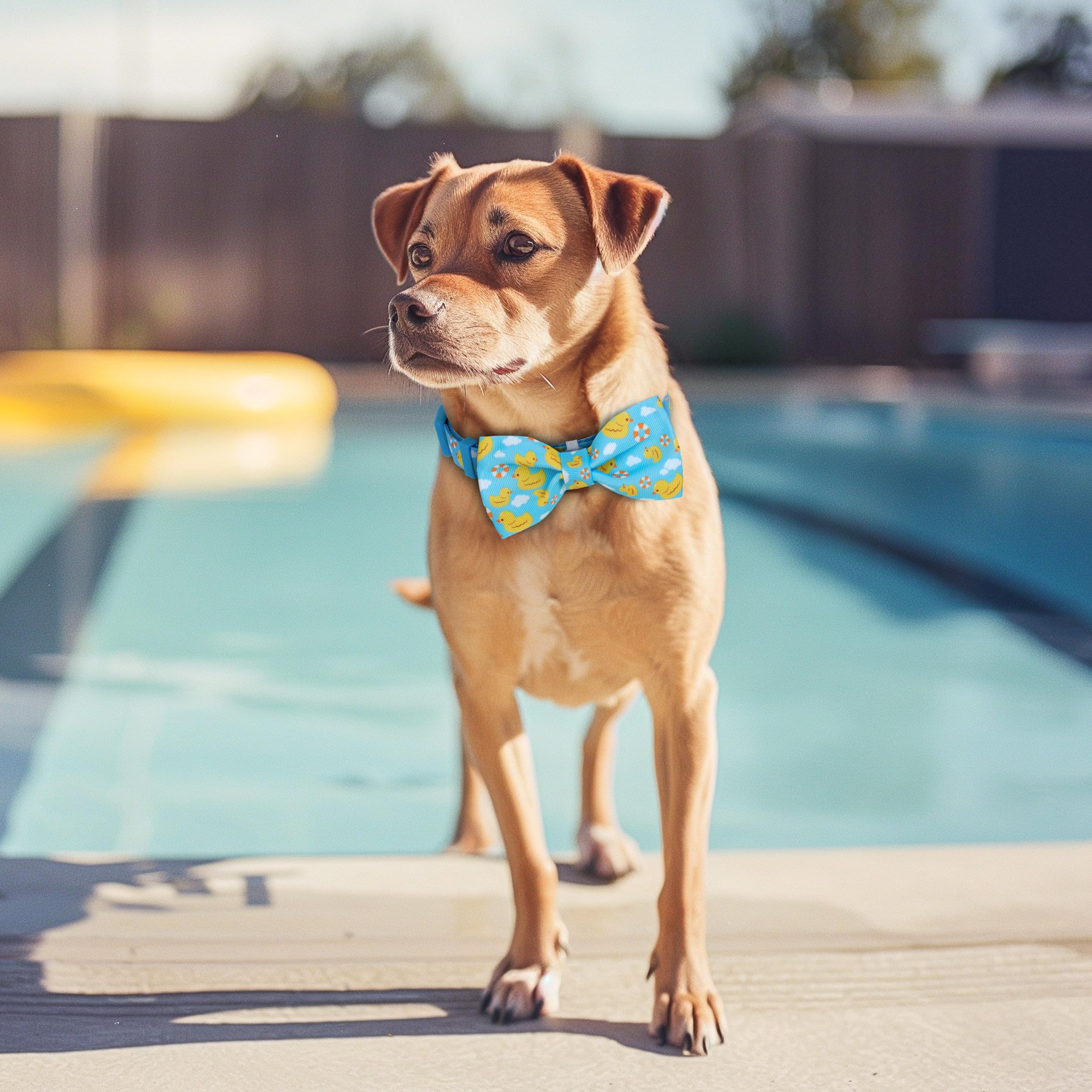 Azuza Dog Collar With Bow Tie, Soft And Comfortable Adjustable Bowtie Dog Collar For Large Dogs (L, Yellow Duck)