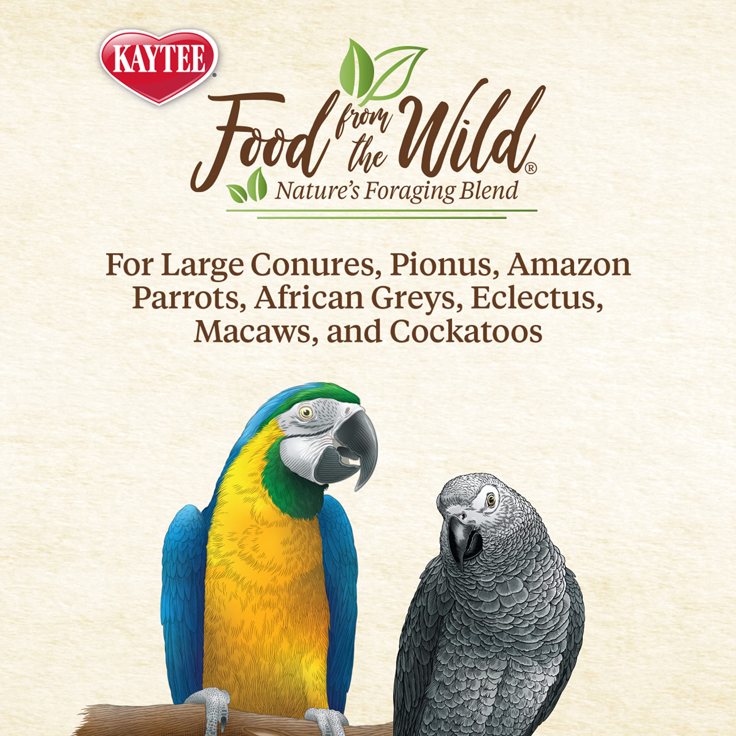 Kaytee Food From The Wild Natural Snack Food Treats For Pet Birds, 3 oz.