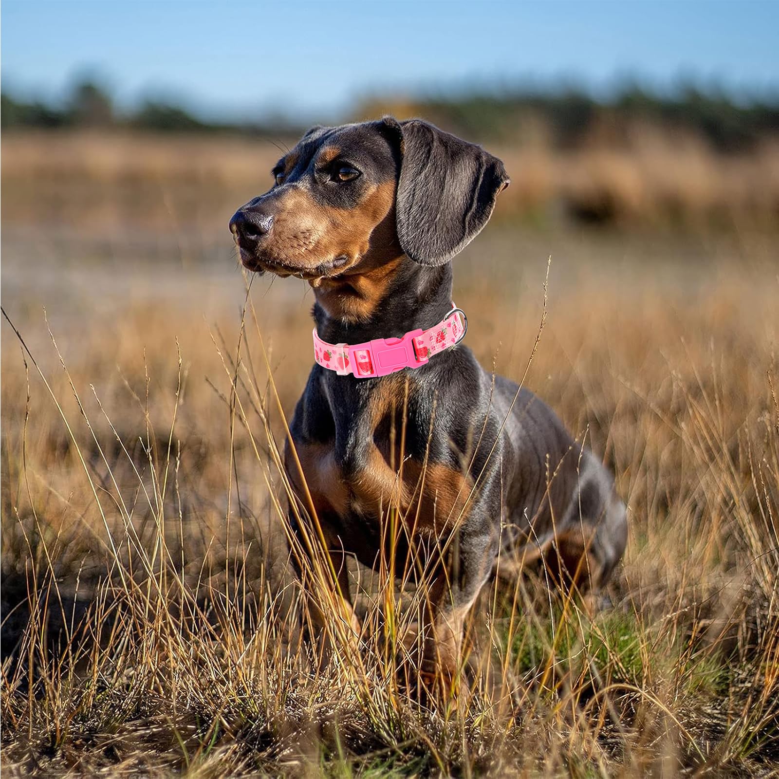 Soft Nylon Adjustable Dog Collar With Cute Strawberry Design - Pink Durable Collar For Small, Medium, Large & Xl Dogs | No-Slip