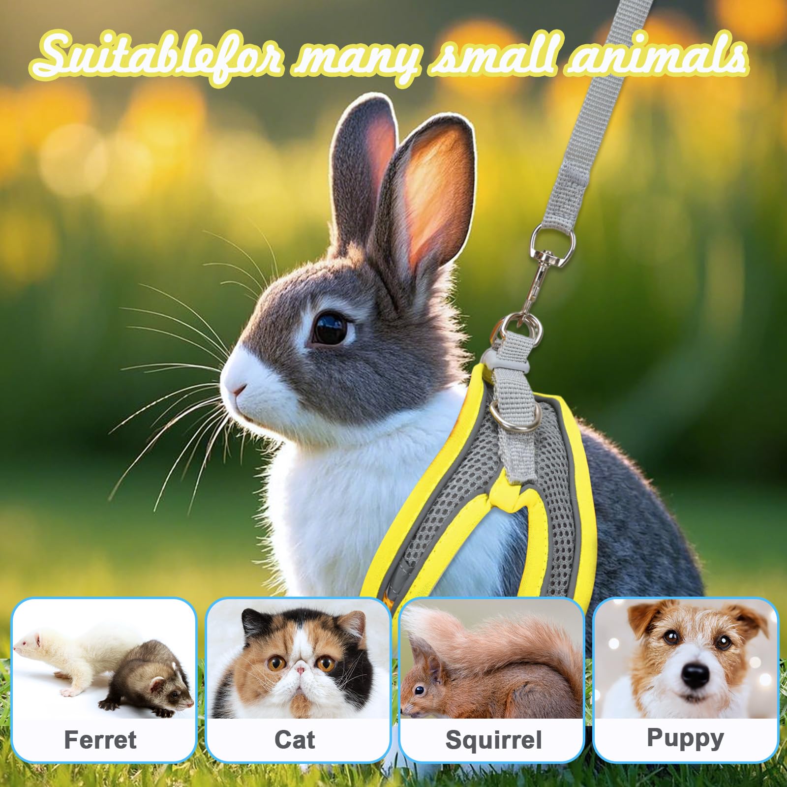 Petknows 2 Pack Rabbit Harness And Leash Set, Double Buckle Bunny Harness With Reflective Strips Soft Breathable Mesh Vest Harne