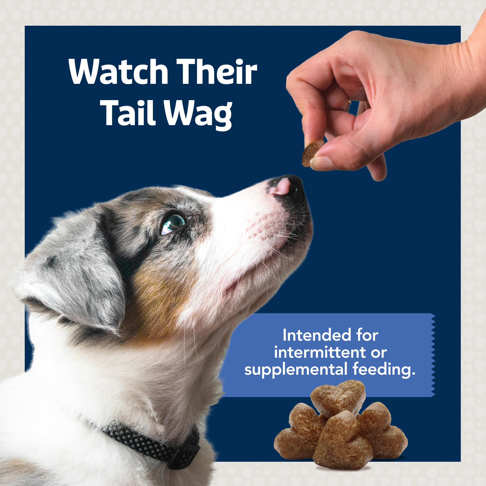 Blue Buffalo Bits Soft Dog Treats for Training, Made With Natural Ingredients & Enhanced with DHA, Chicken & Beef 19-oz Variety