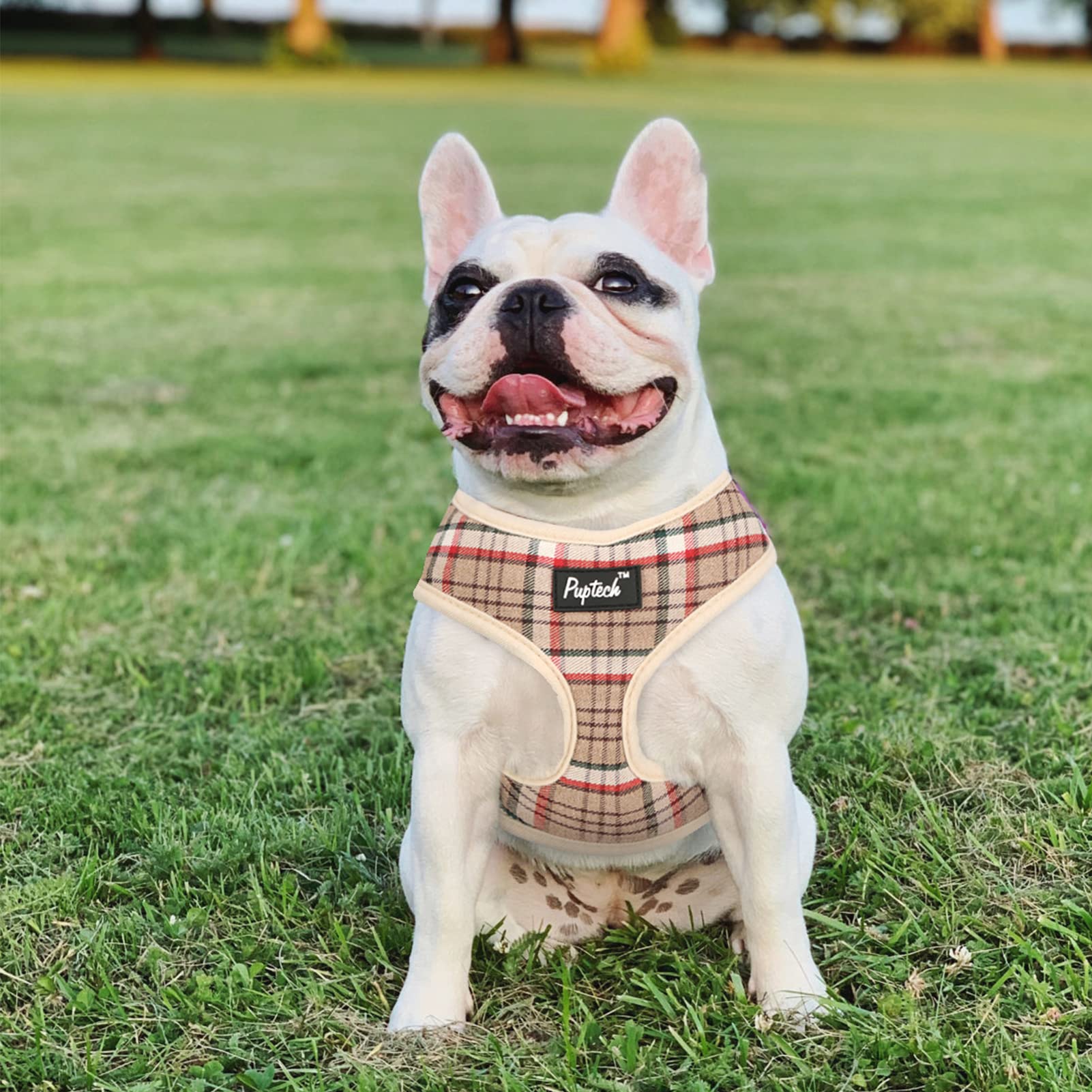 Pupteck Soft Mesh Dog Harness And Leash Set Pet Puppy Cat Comfort Padded Vest No Pull Harnesses, Khaki, S