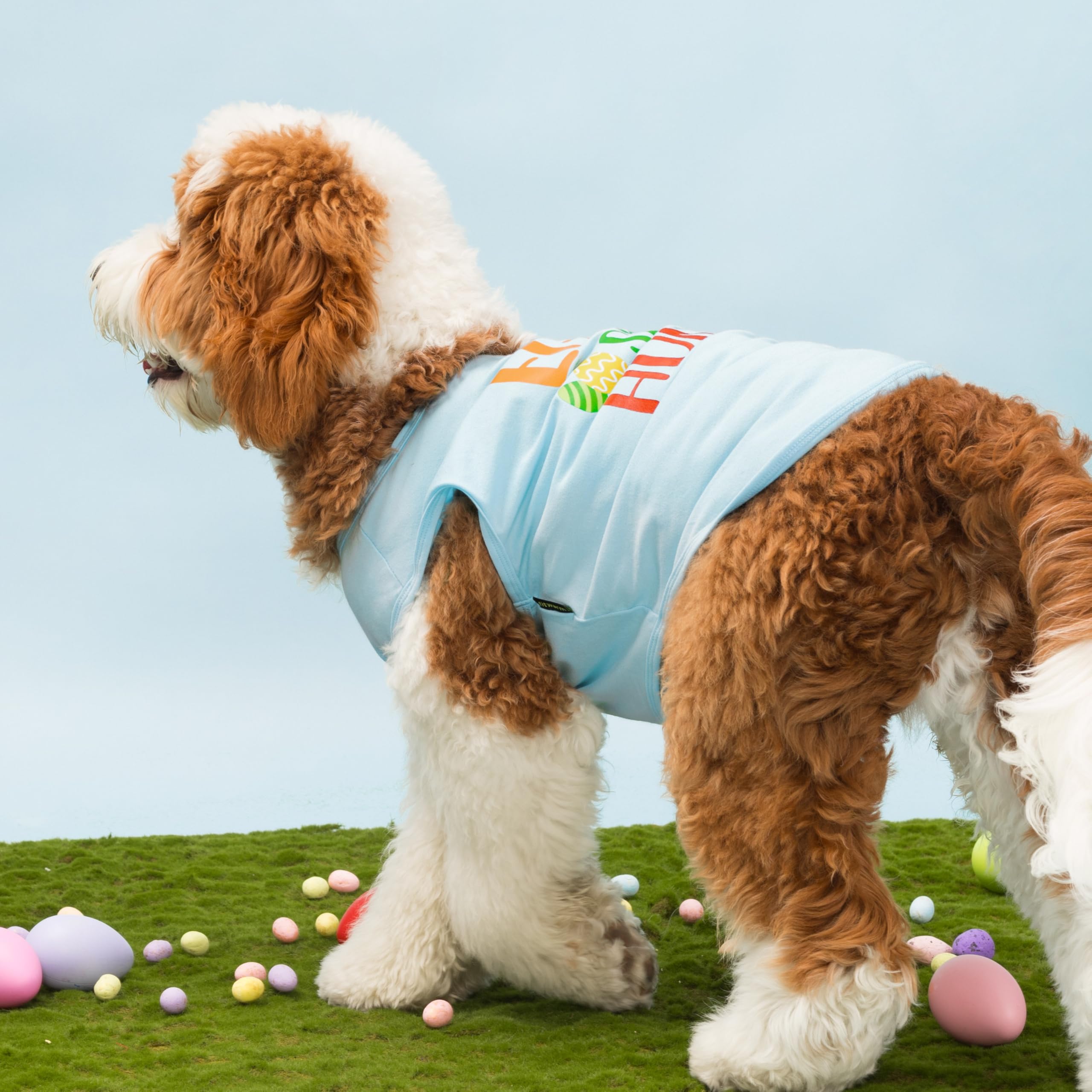 Fitwarm Egg-Spert Hunter Dog Easter Outfit, Summer Clothes For Small Dogs Boy Girl, Pet Outfit, Blue, Red, Green, Orange, Small