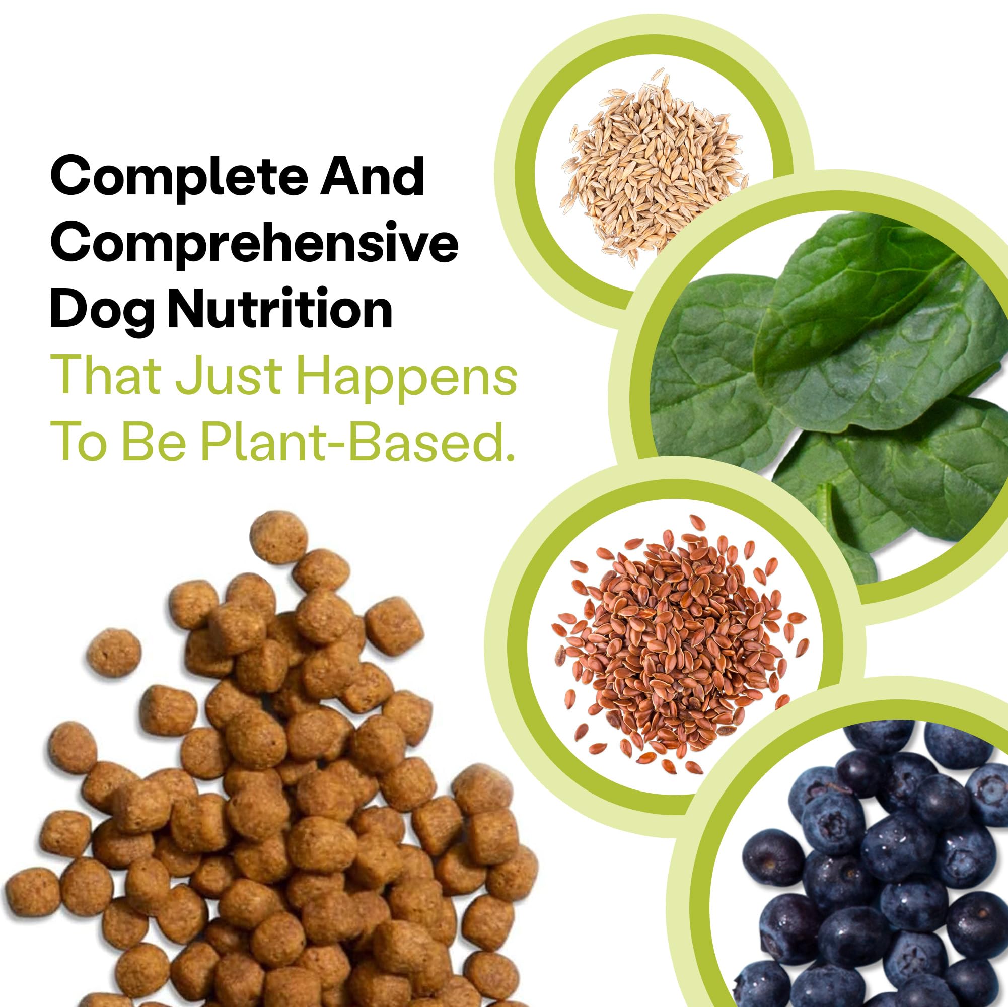 Wild Earth Vegan Dry Dog Food Performance Formula | Plant-Based Vegetarian Kibble | Wheat-Free, Allergen-Free, Veterinarian-Deve