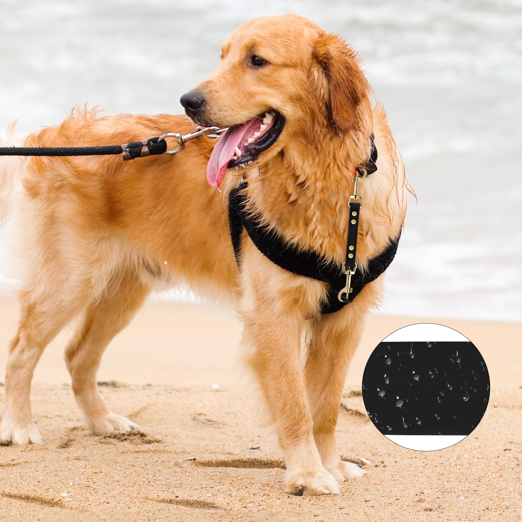 Petbonus Dog Collar Safety Clip, Waterproof Backup Safety Strap For Dog Harness To Prong Collar, Odor Proof Double Ended Clasp L