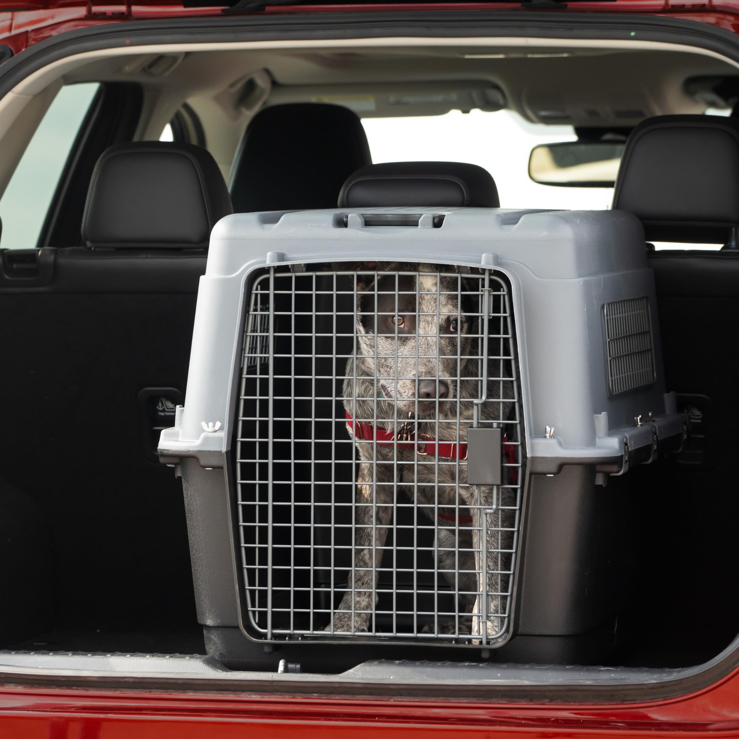 SportPet Airline Approved Wire Door Travel Dog Crate, Durable Plastic Pet Travel Kennel with Removable Wheels,Collapsible, Food