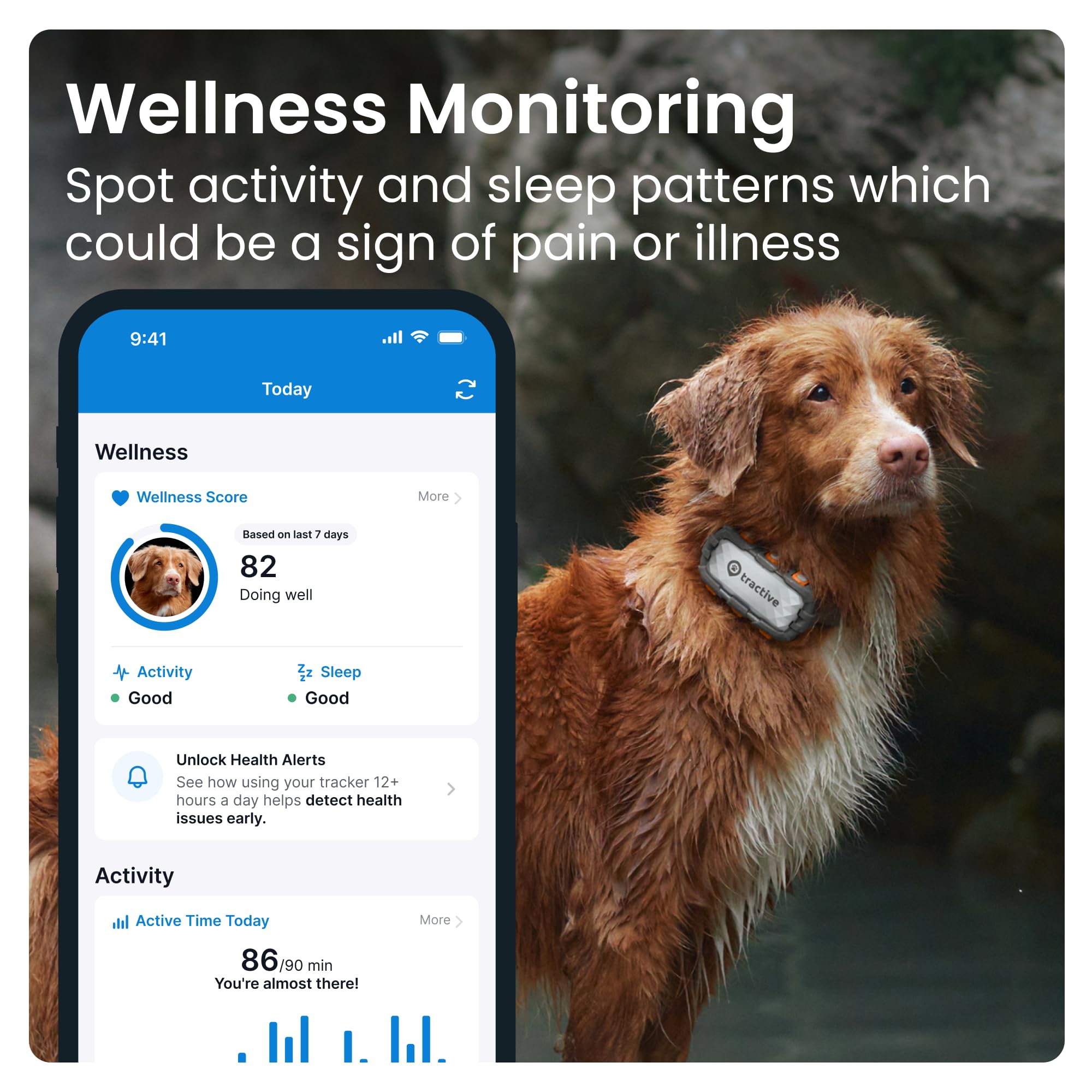 Tractive XL GPS Dog Tracker (50 lbs+) | Real-time Pet Location Tracker | Health & Wellness Alerts | Virtual Fence for Dogs | Dog