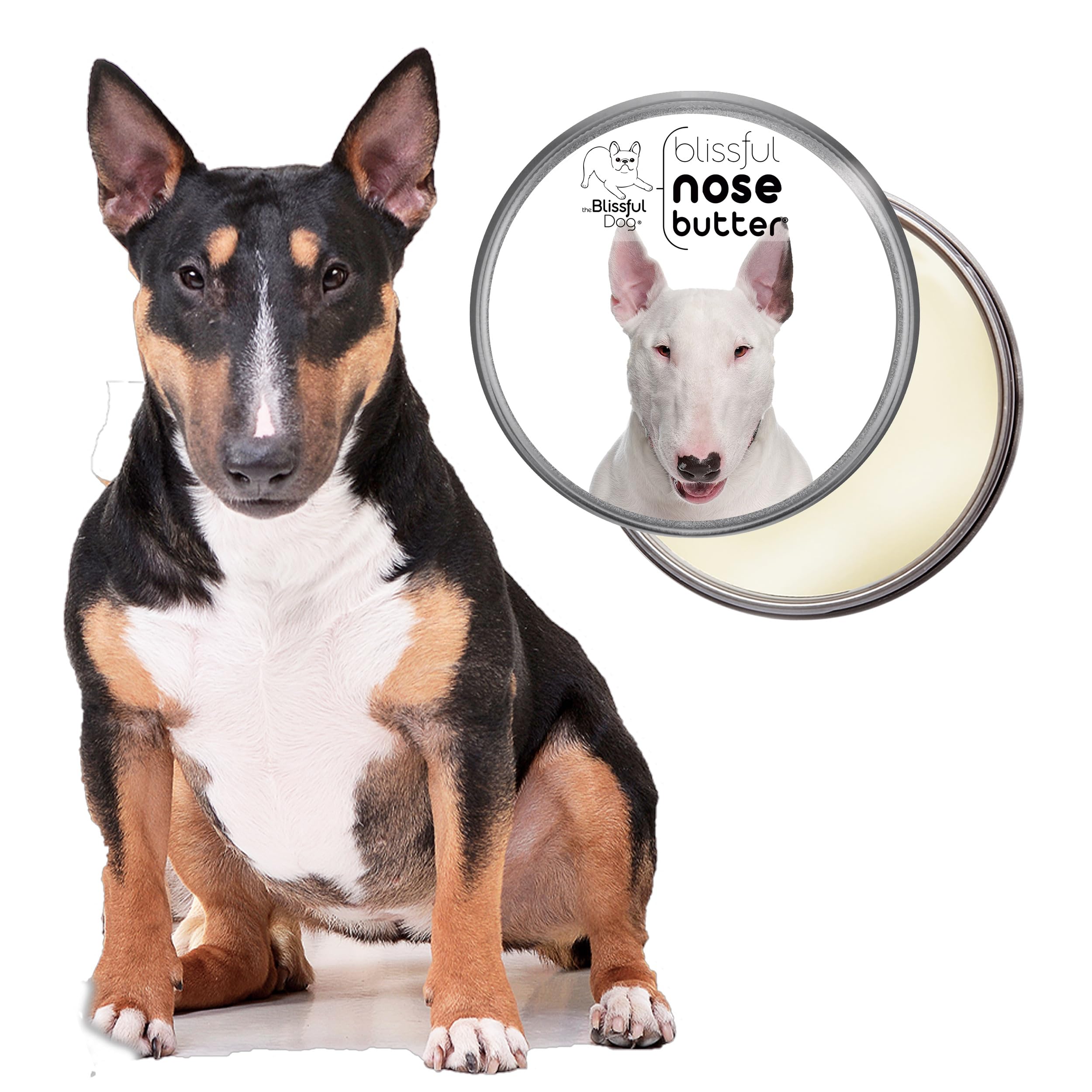 The Blissful Dog Bull Terrier Unscented Nose Butter, 2 oz