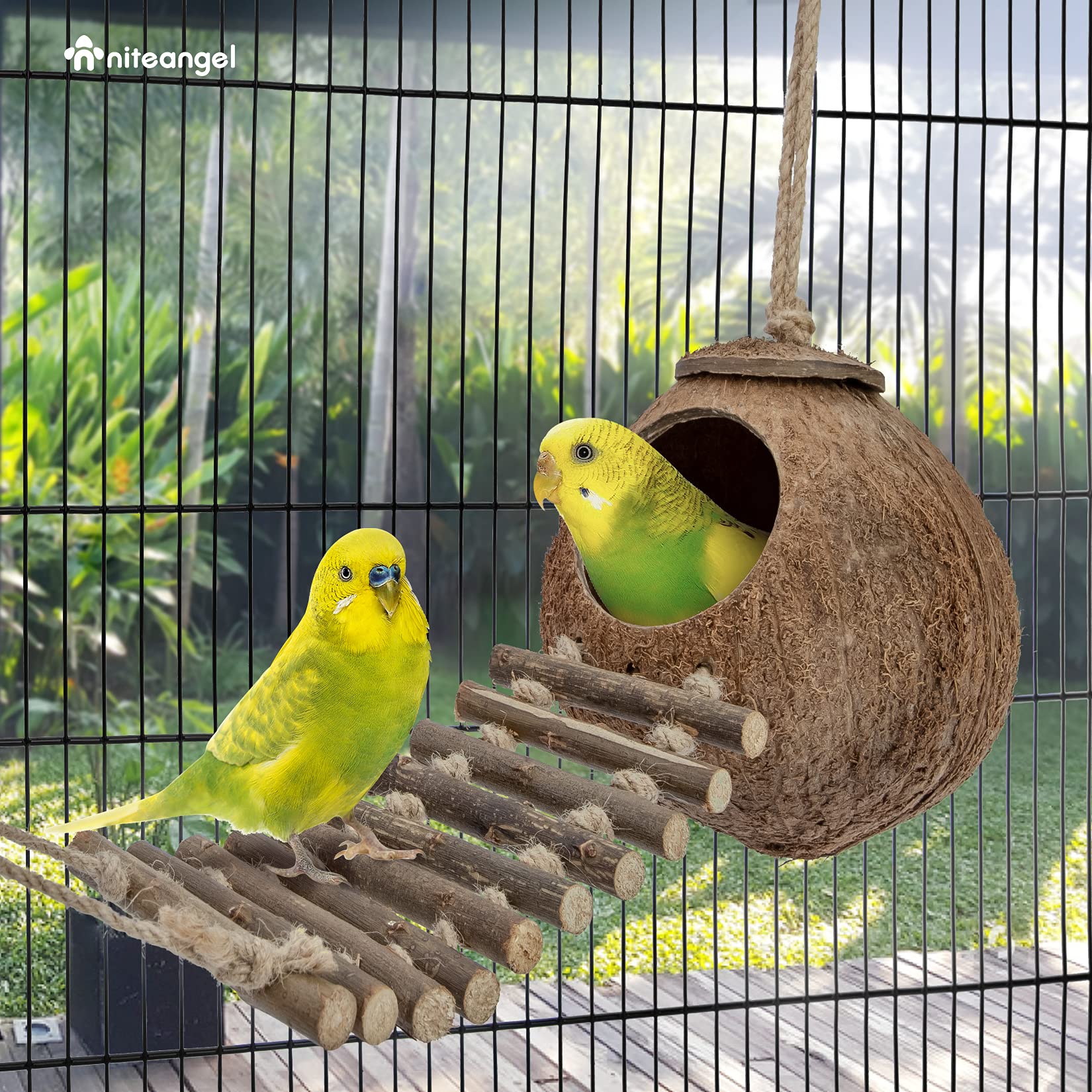 Niteangel Natural Coconut Hideaway With Ladder, Bird And Small Animal Toy (House With Ladder, Natural Surface)