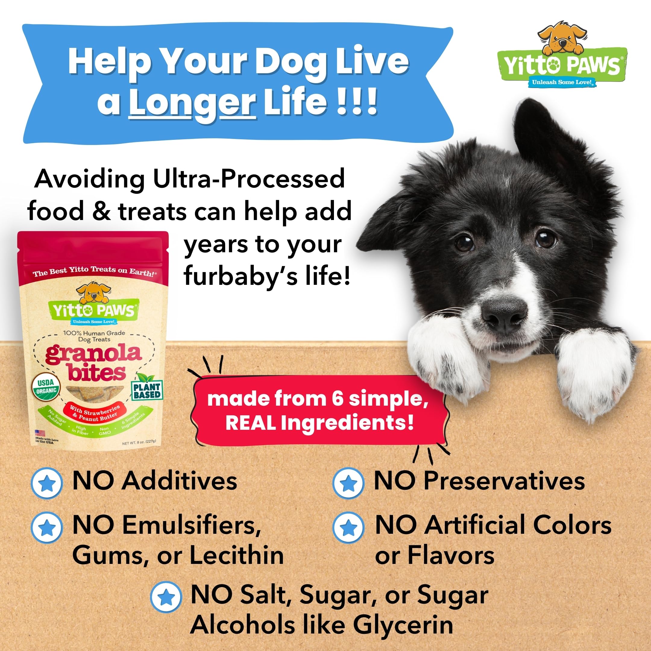 Crunchy Organic Peanut Butter Dog Treats - Fruit & Oats Healthy Dog Biscuits, Vegan All Natural Training Treats Made in USA - Lo